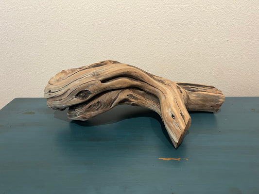 19" Manzanita Driftwood Stump, Aquascaping Log