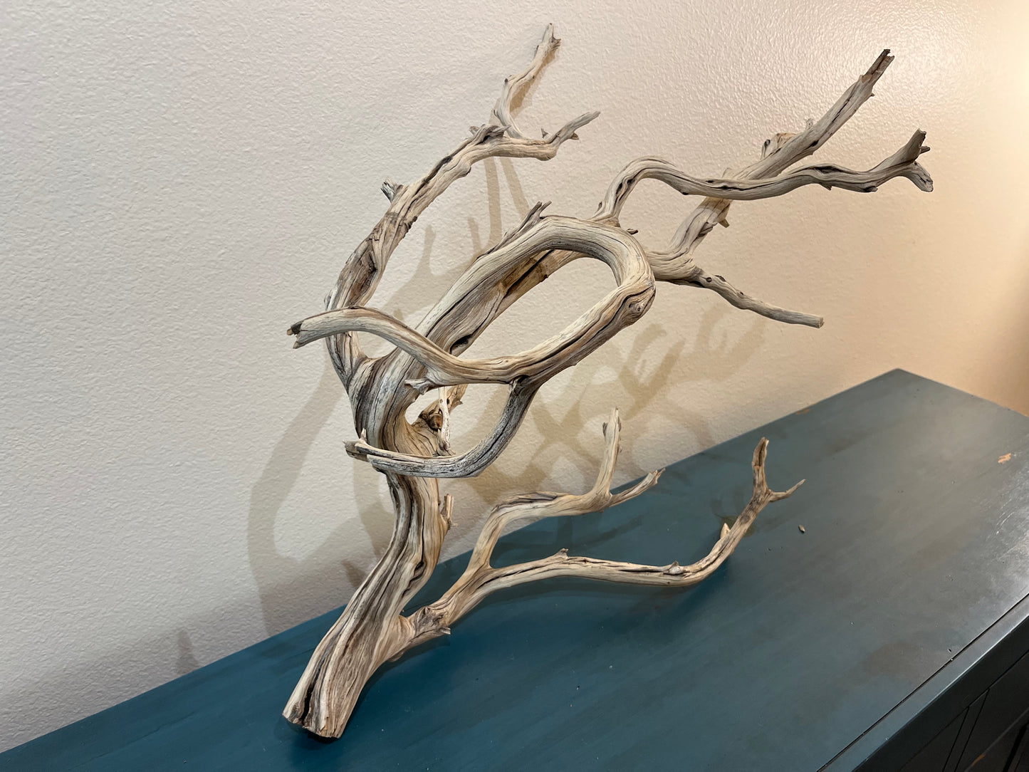 24" Manzanita Driftwood Branch, XL Driftwood, Aquascape Centerpiece #3060