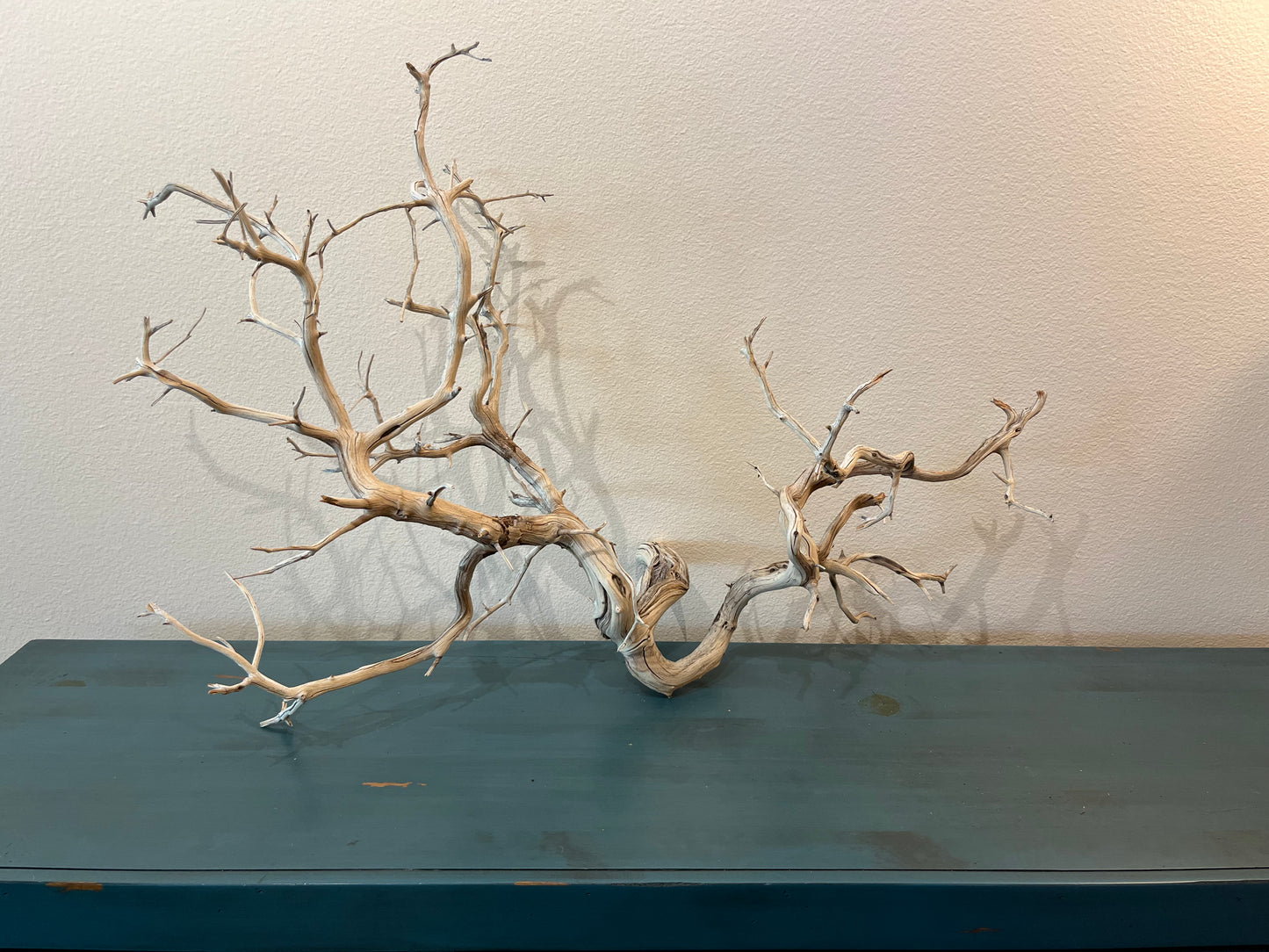 Manzanita Driftwood Branch 37x15x25 XL Centerpiece