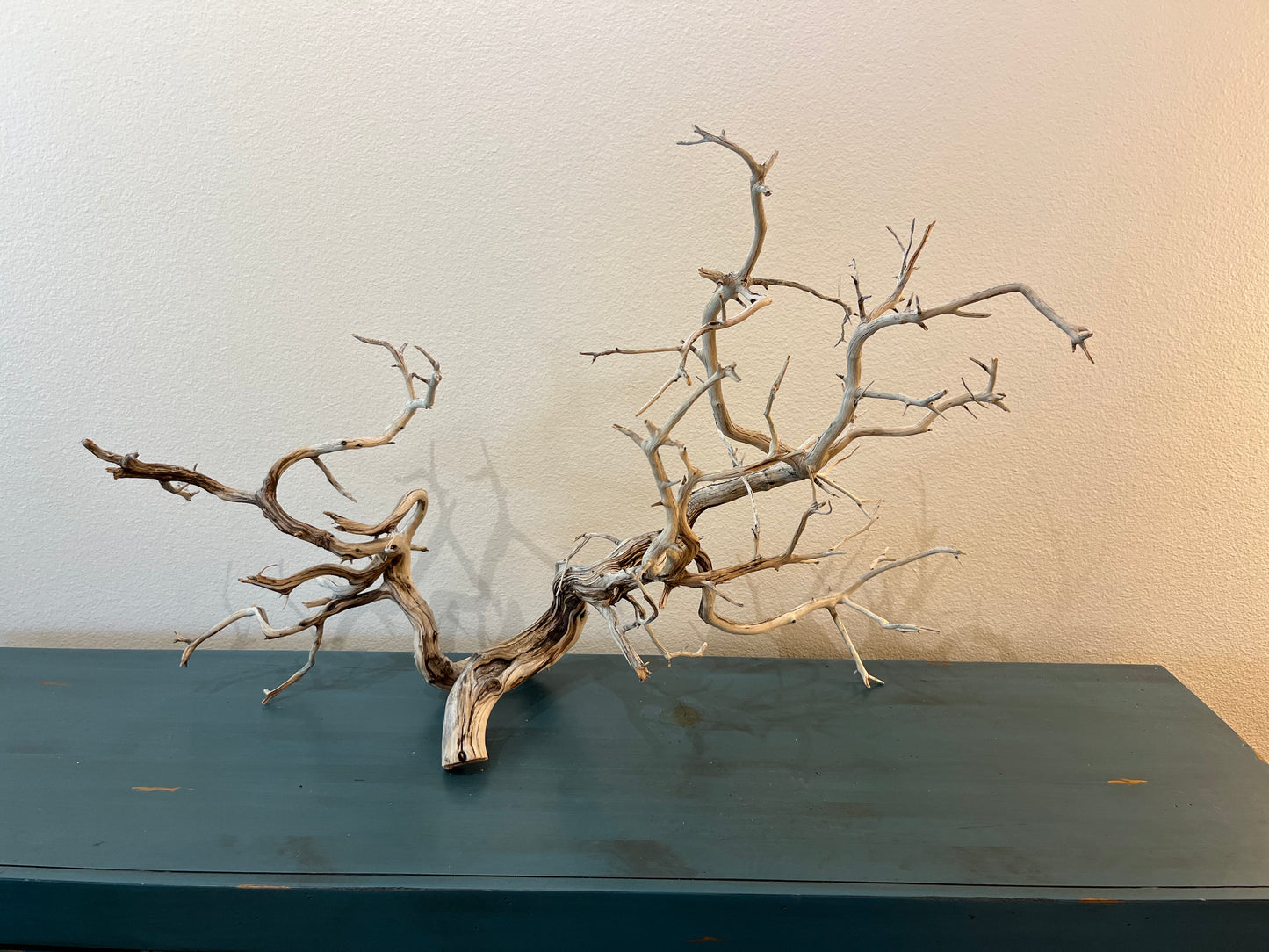 Manzanita Driftwood Branch 37x15x25 XL Centerpiece