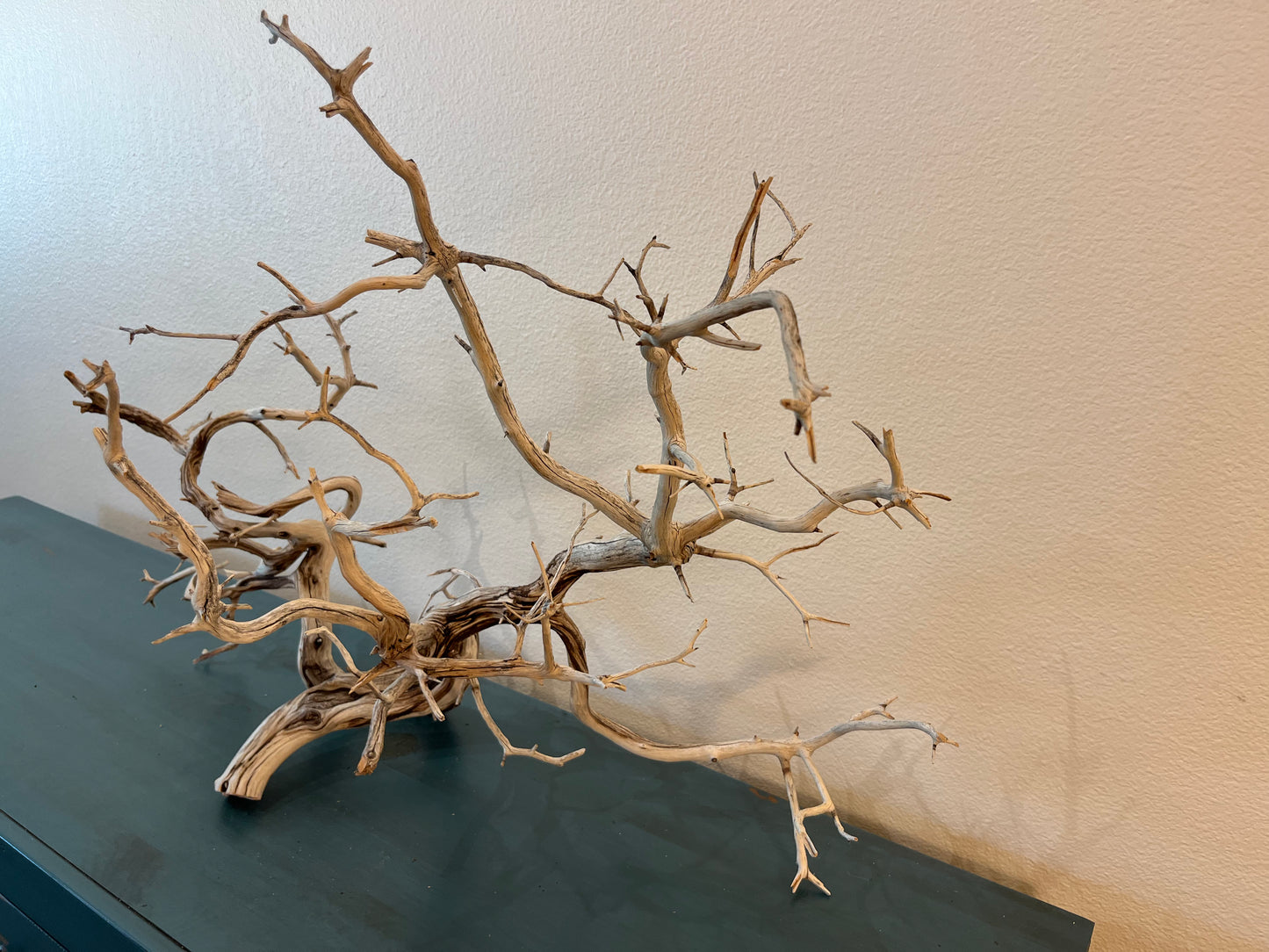 Manzanita Driftwood Branch 37x15x25 XL Centerpiece