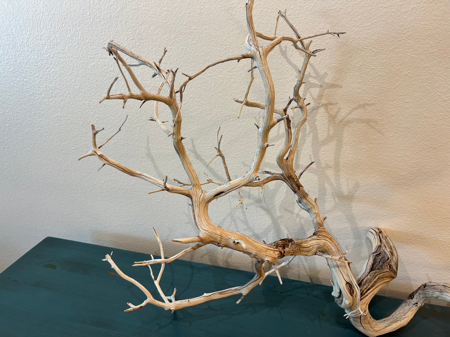 Manzanita Driftwood Branch 37x15x25 XL Centerpiece