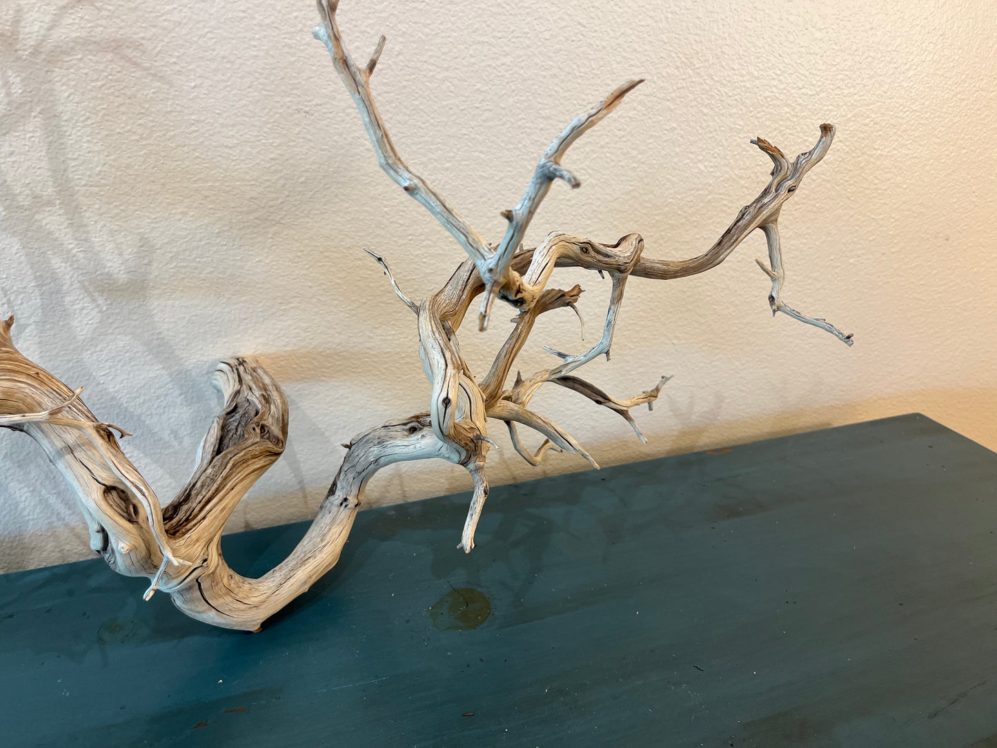 Manzanita Driftwood Branch 37x15x25 XL Centerpiece