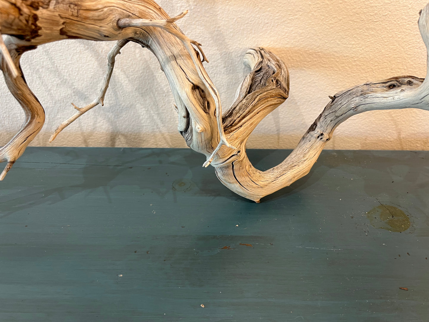 Manzanita Driftwood Branch 37x15x25 XL Centerpiece