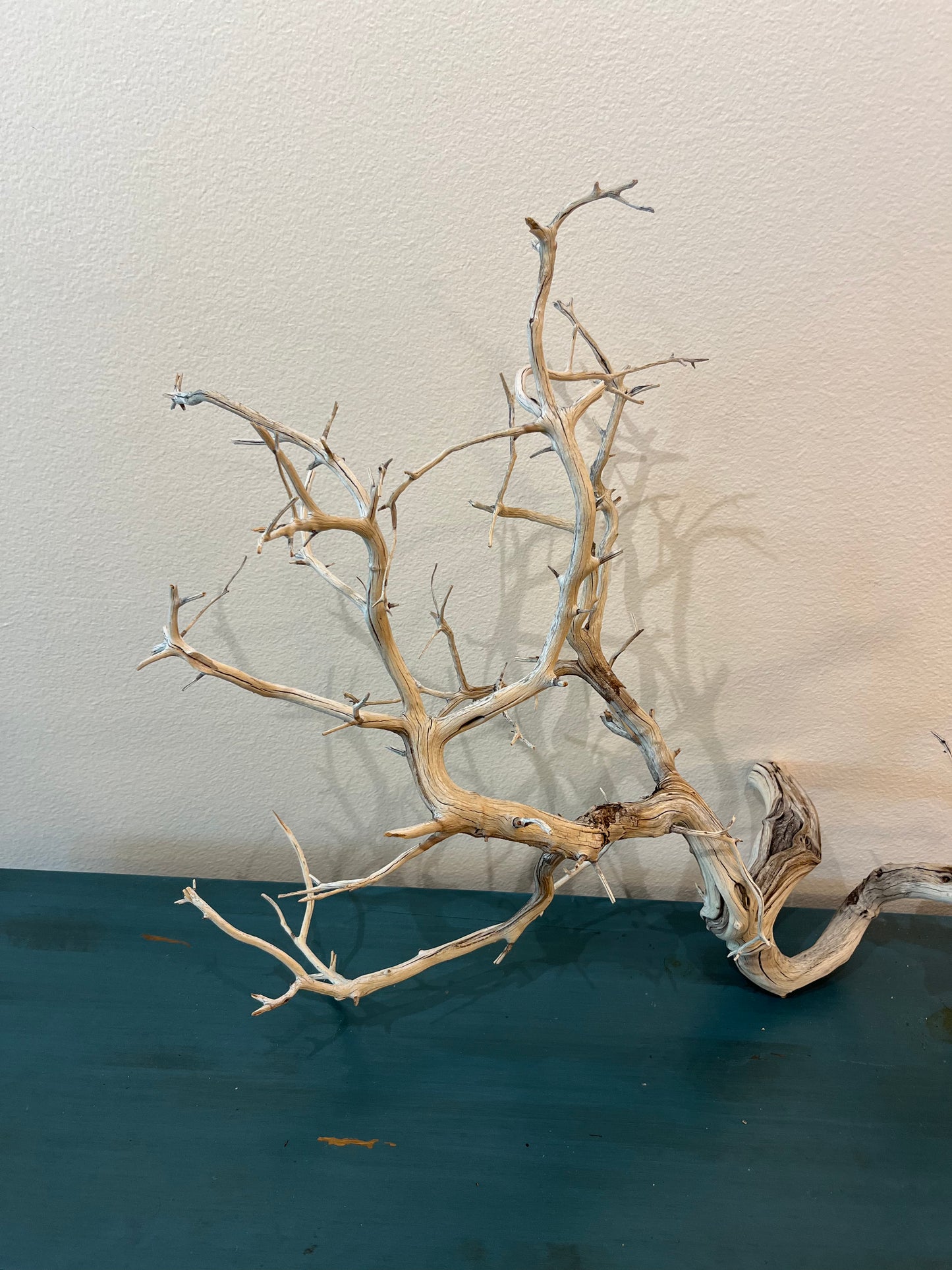 Manzanita Driftwood Branch 37x15x25 XL Centerpiece