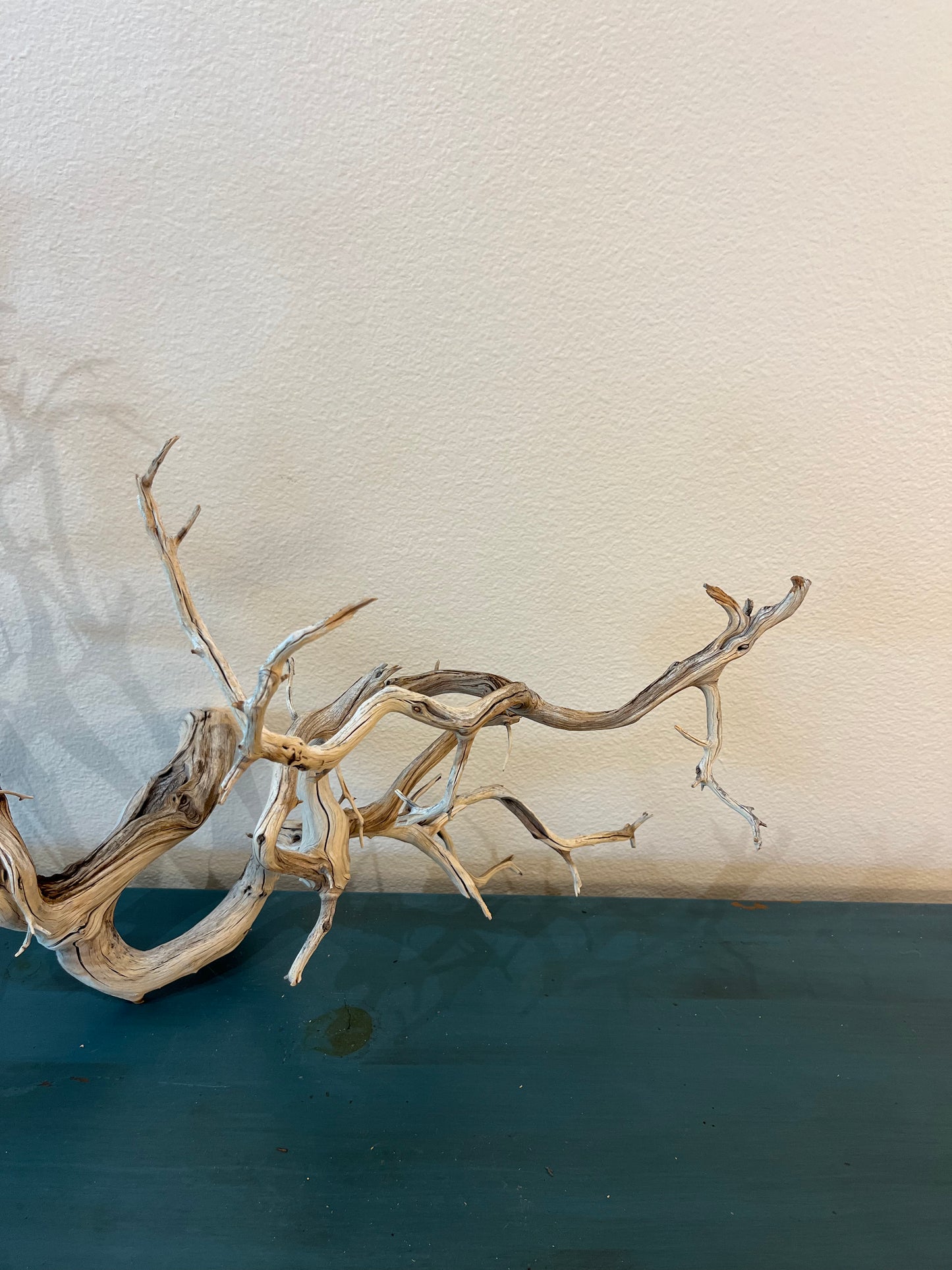 Manzanita Driftwood Branch 37x15x25 XL Centerpiece