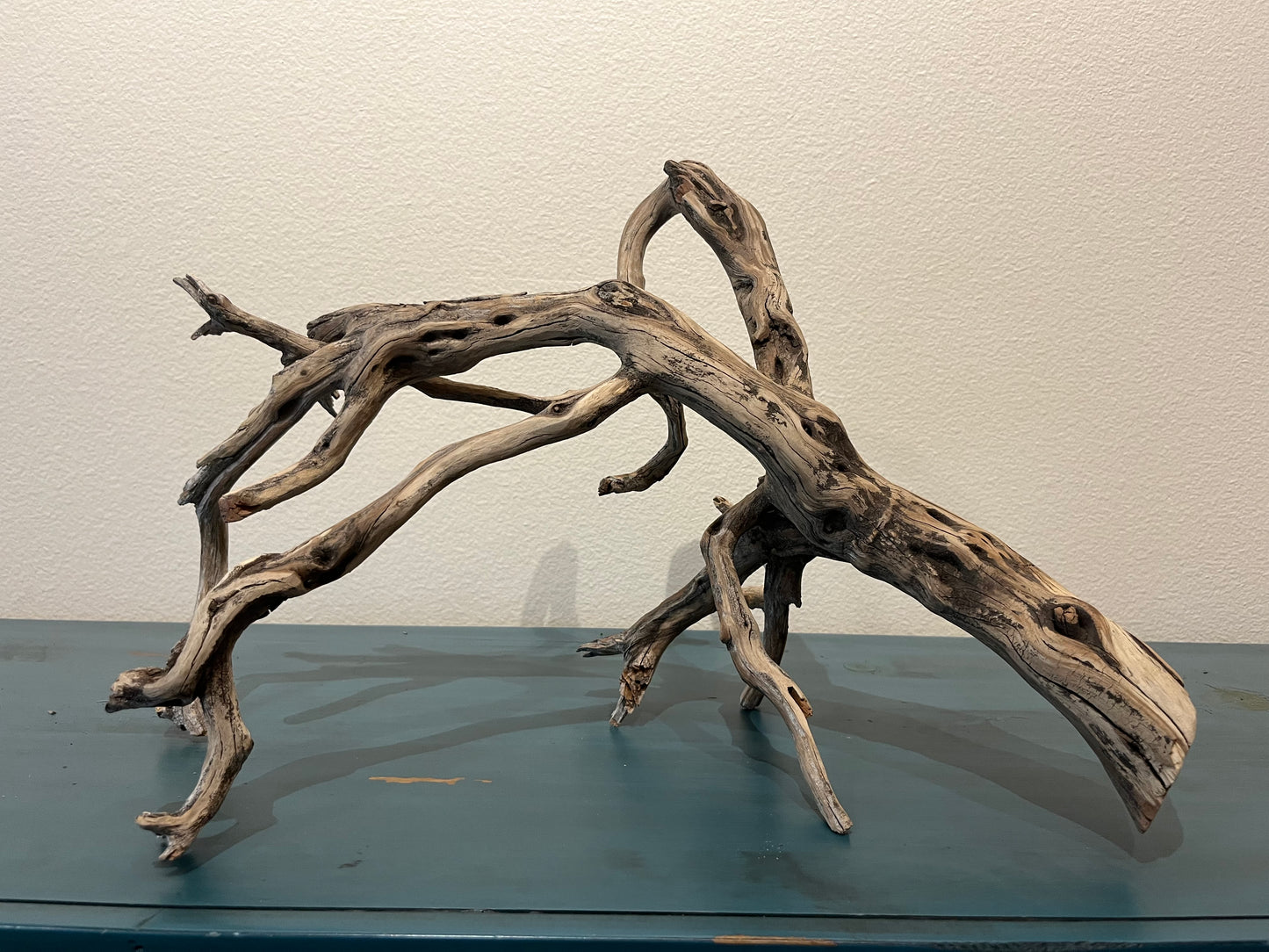 20" Multiple Branched Manzanita Driftwood  #2005