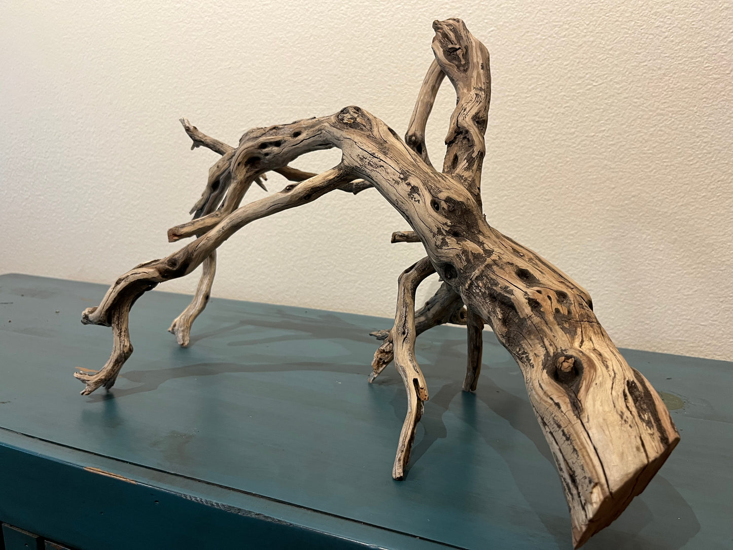 20" Multiple Branched Manzanita Driftwood  #2005