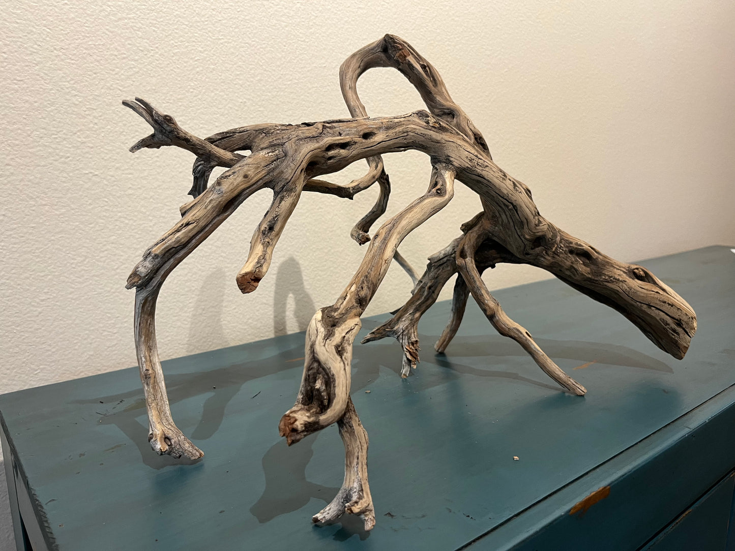 20" Multiple Branched Manzanita Driftwood  #2005