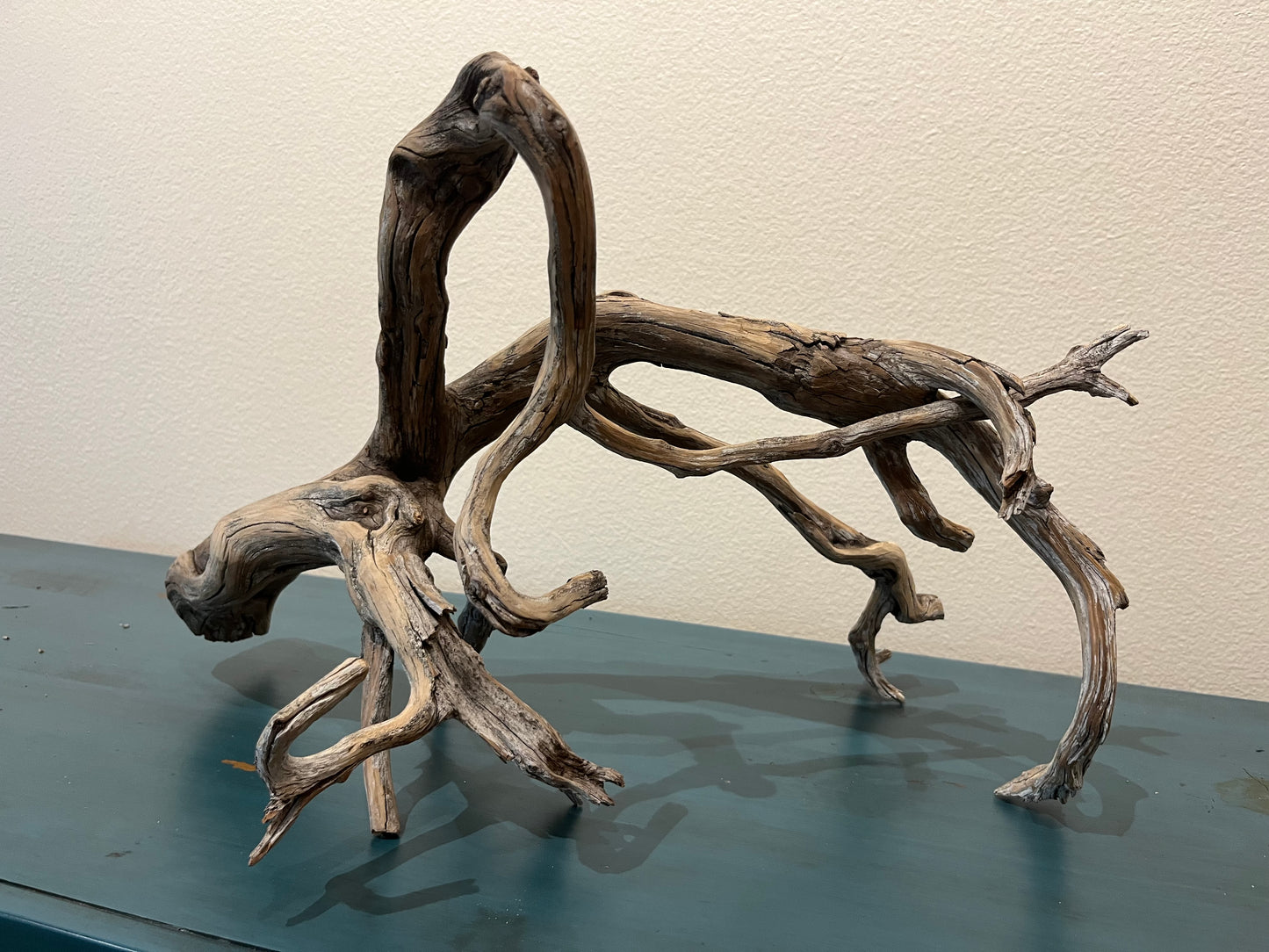 20" Multiple Branched Manzanita Driftwood  #2005