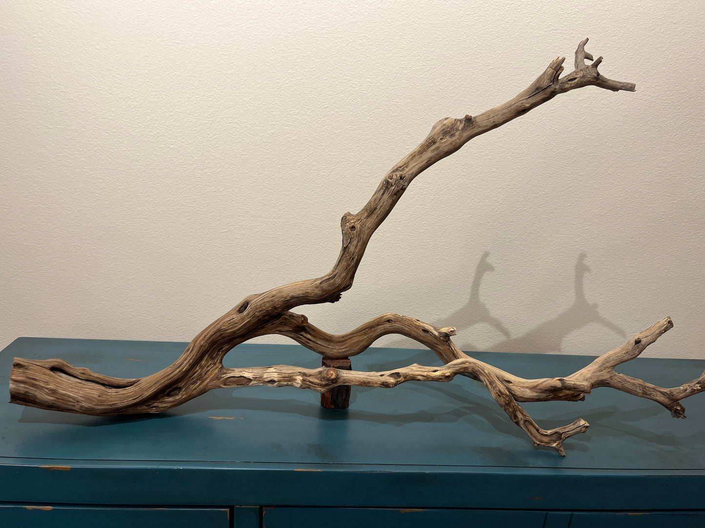 44" Forked Manzanita Driftwood Branch  #3009