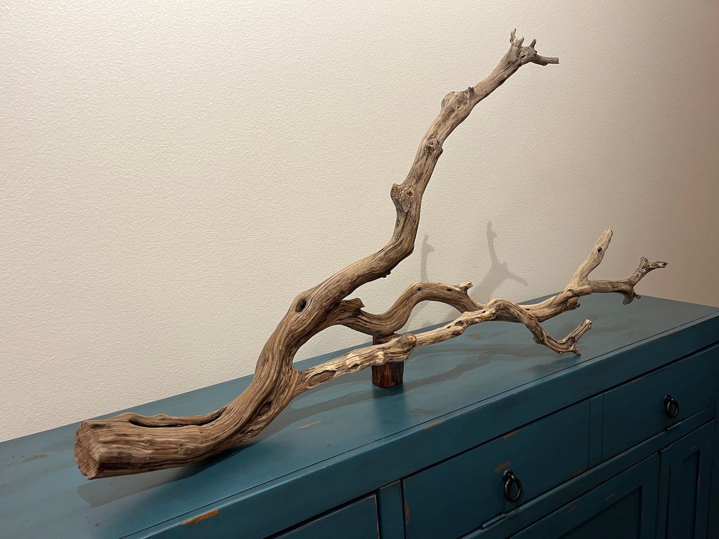 44" Forked Manzanita Driftwood Branch  #3009