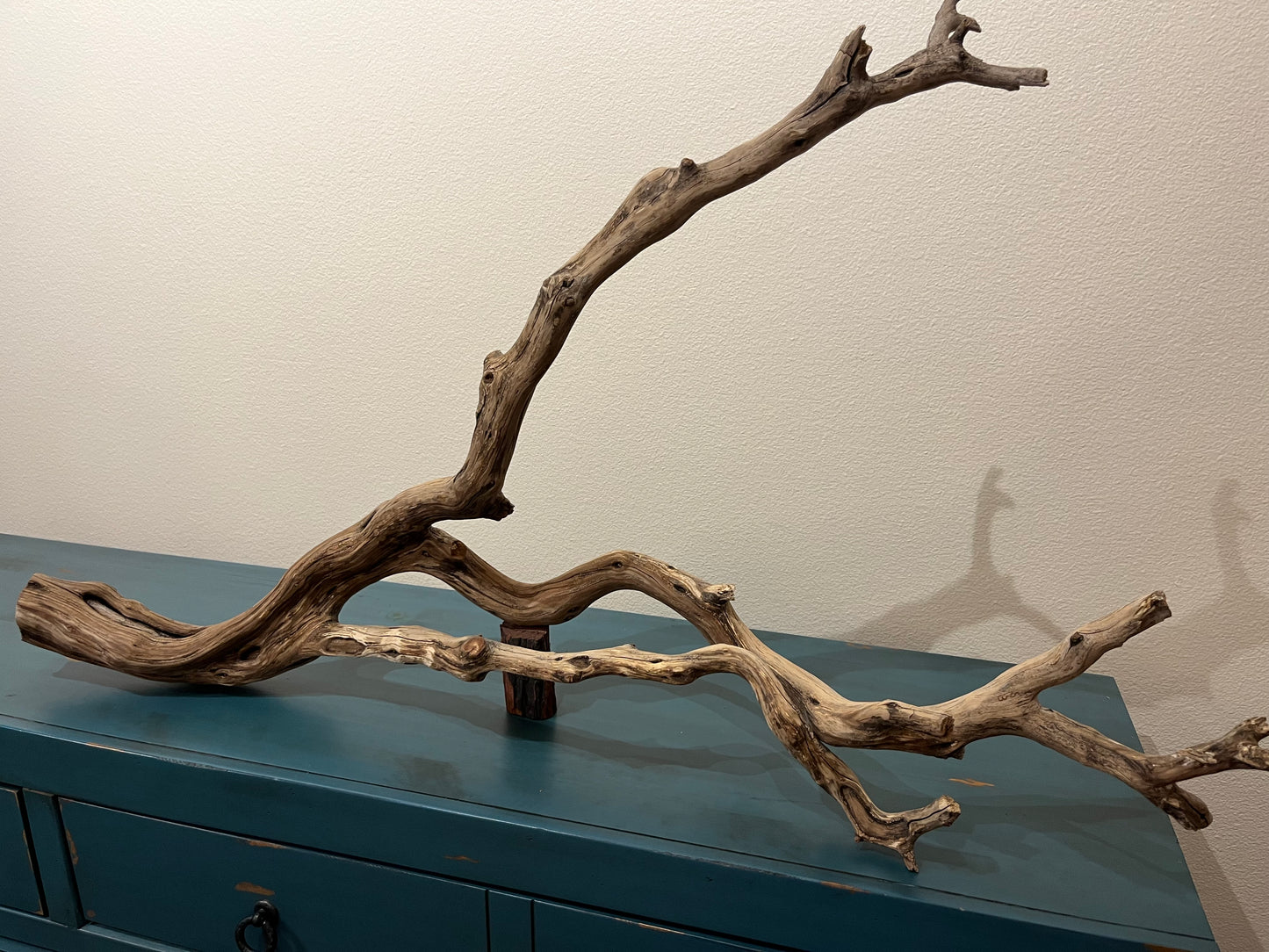 44" Forked Manzanita Driftwood Branch  #3009