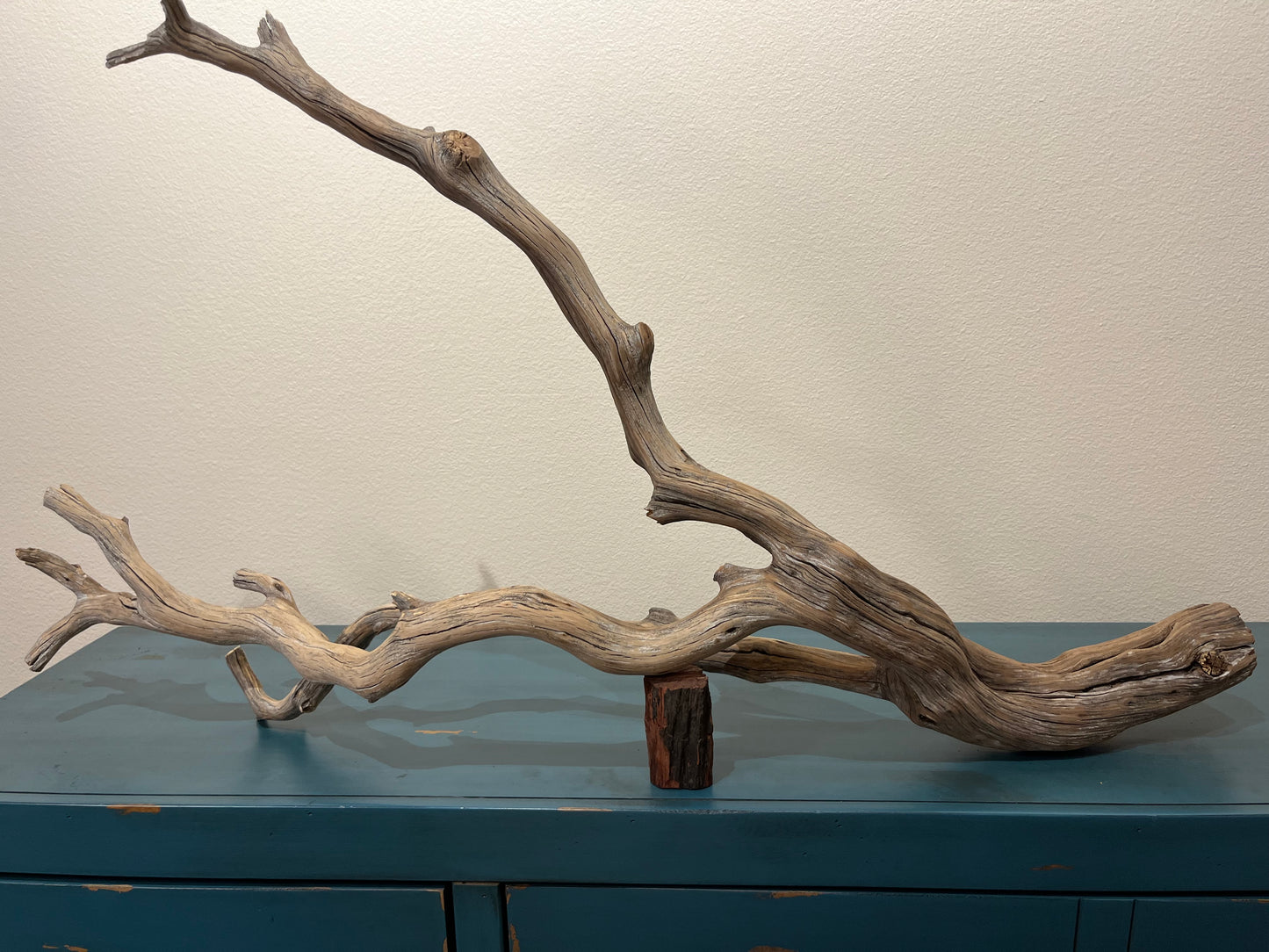 44" Forked Manzanita Driftwood Branch  #3009