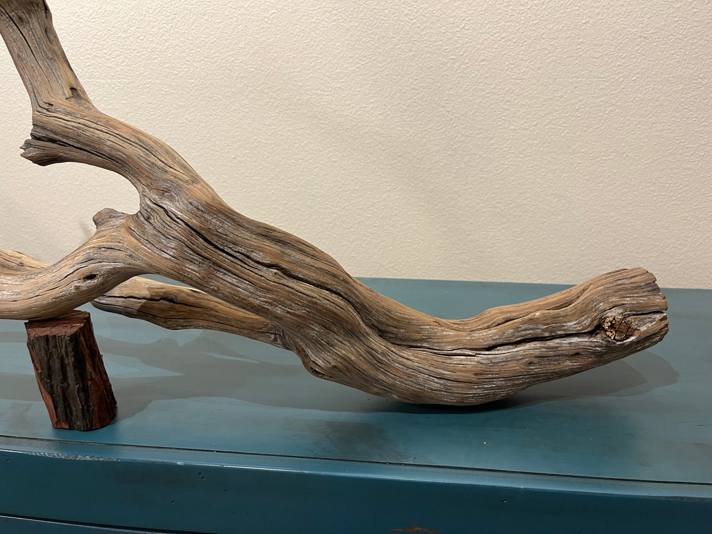 44" Forked Manzanita Driftwood Branch  #3009