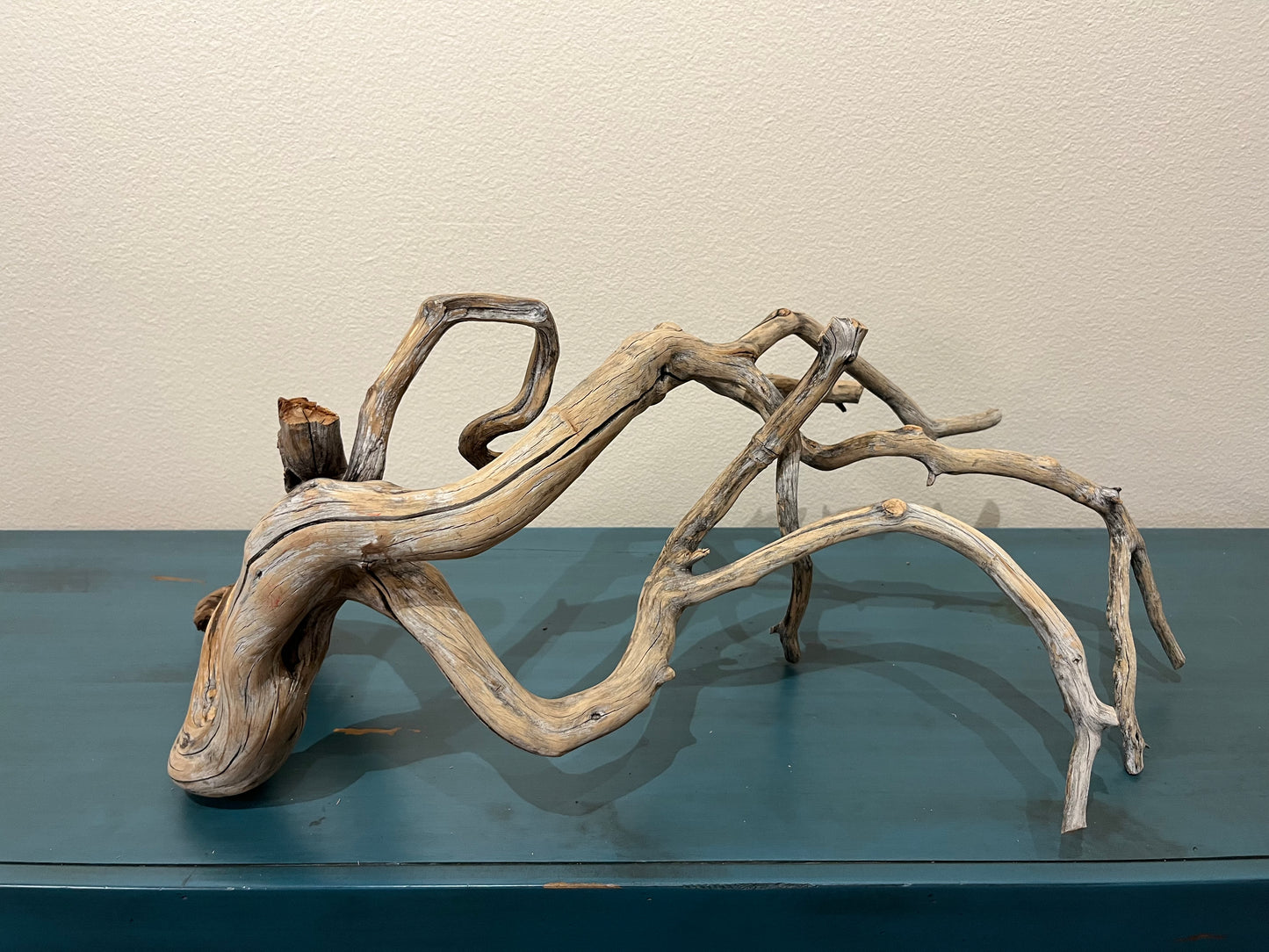 27" Manzanita Driftwood Forest  #3011