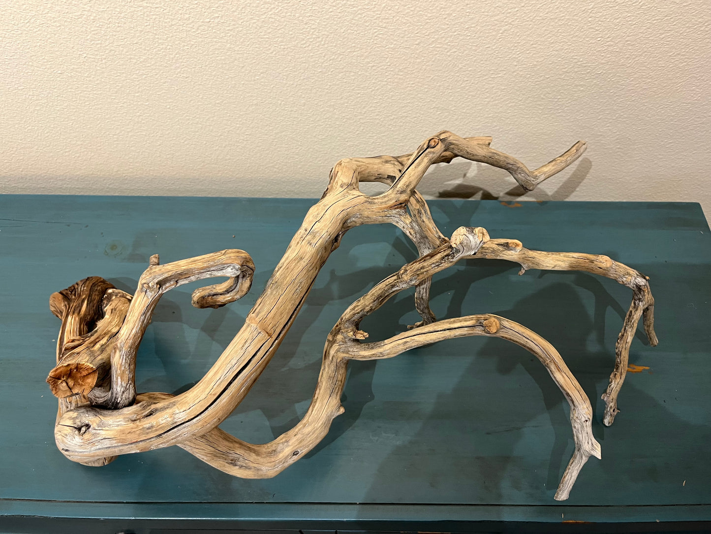 27" Manzanita Driftwood Forest  #3011