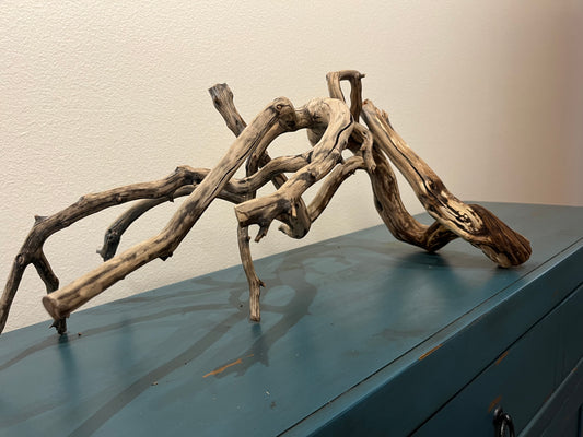 27" Manzanita Driftwood Forest  #3011