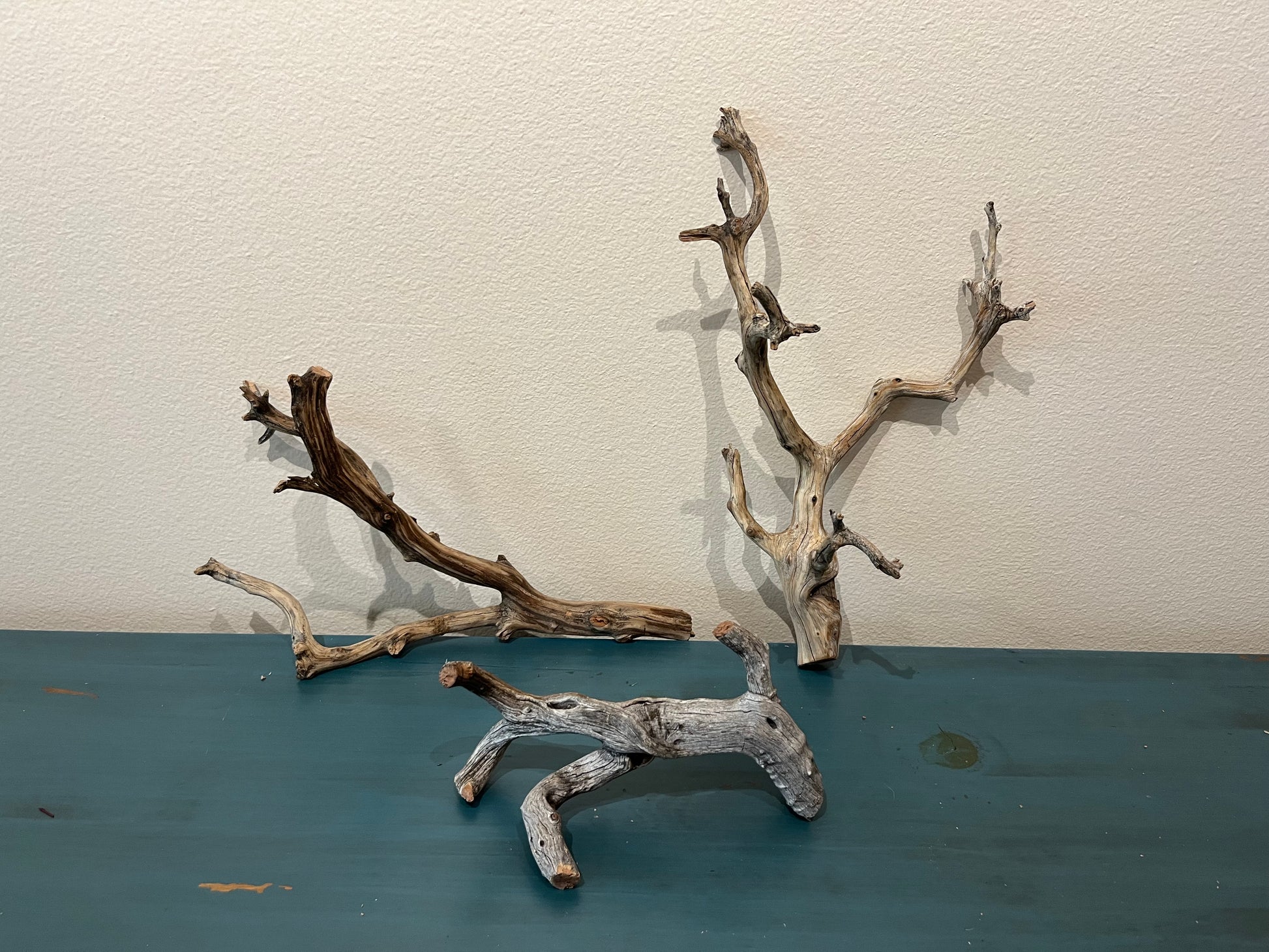 18 Driftwood Bundle #B2 – Sierra Aquatic Driftwood