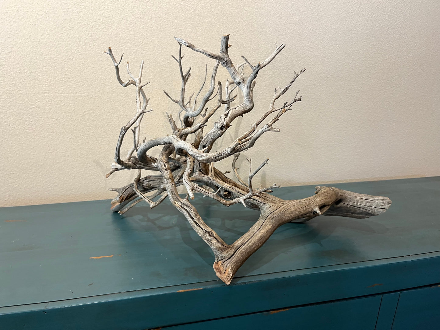 25" Manzanita Driftwood Centerpiece, Aquascape Decor, Manzanita Branch #3019