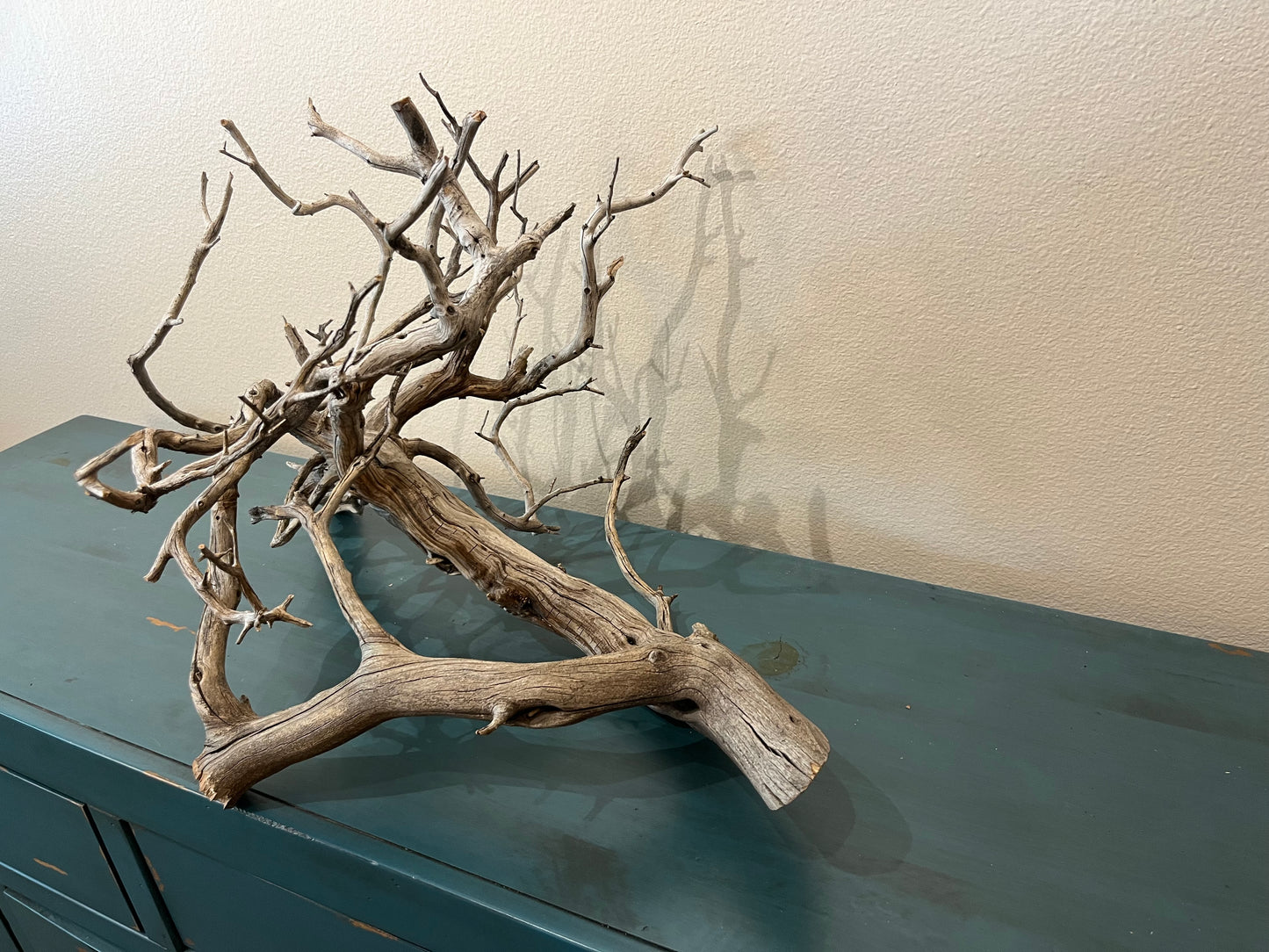 25" Manzanita Driftwood Centerpiece, Aquascape Decor, Manzanita Branch #3019