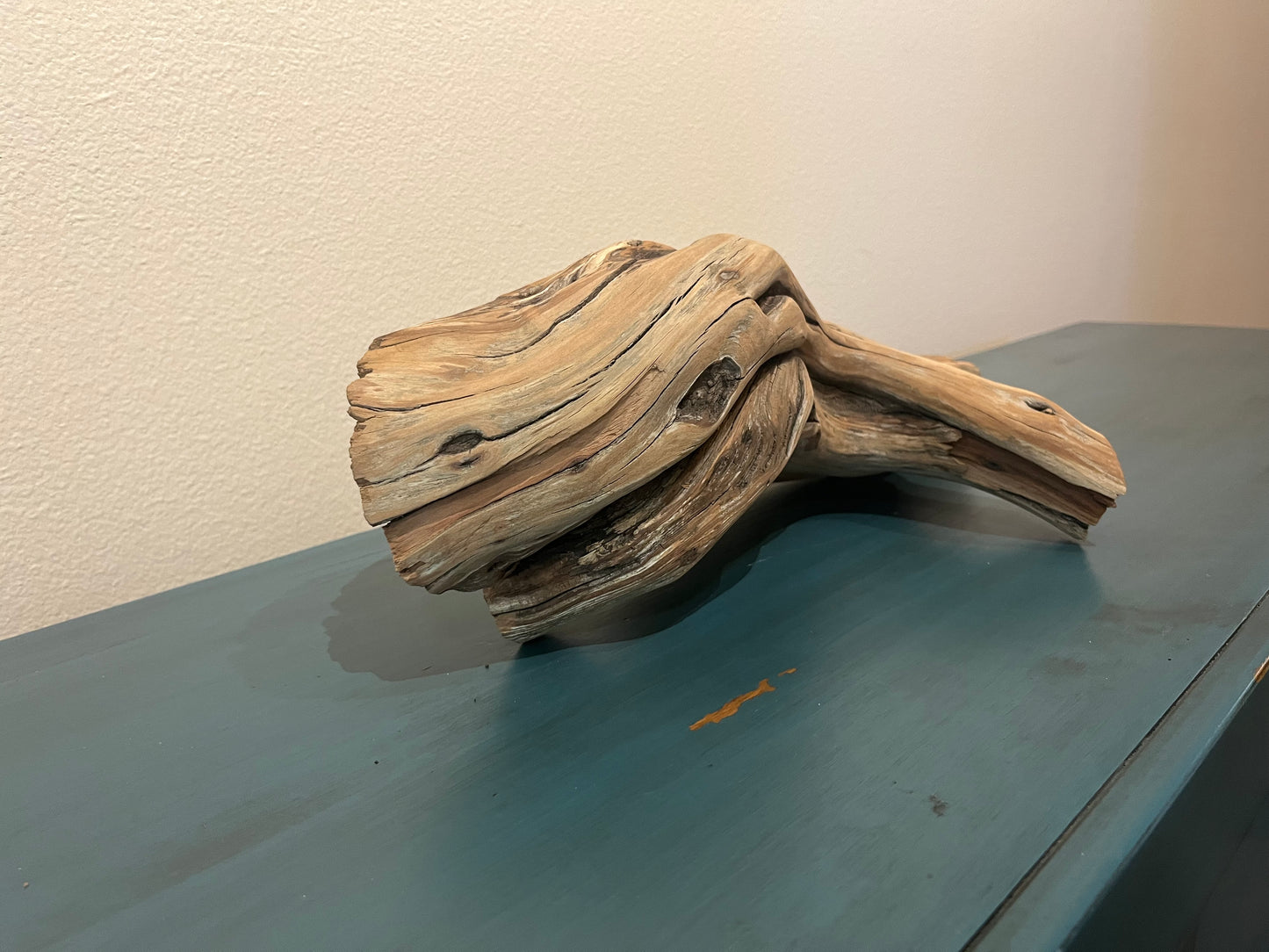 19" Manzanita Driftwood Stump, Aquascaping Log