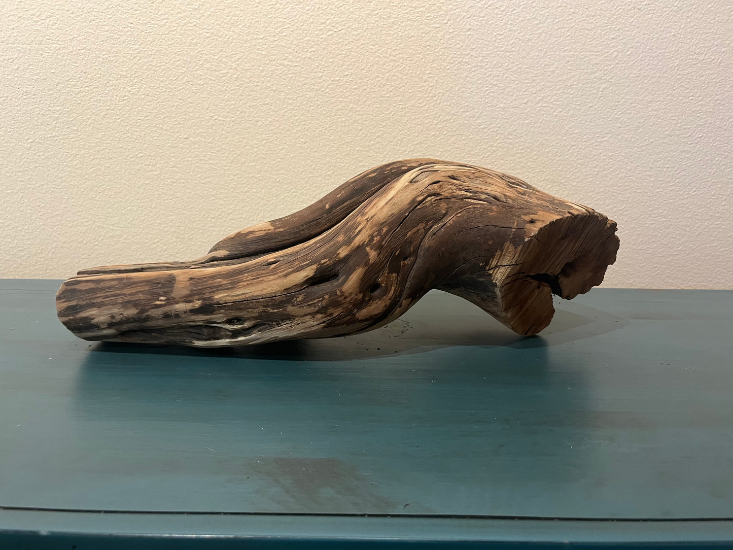 19" Manzanita Driftwood Stump, Aquascaping Log