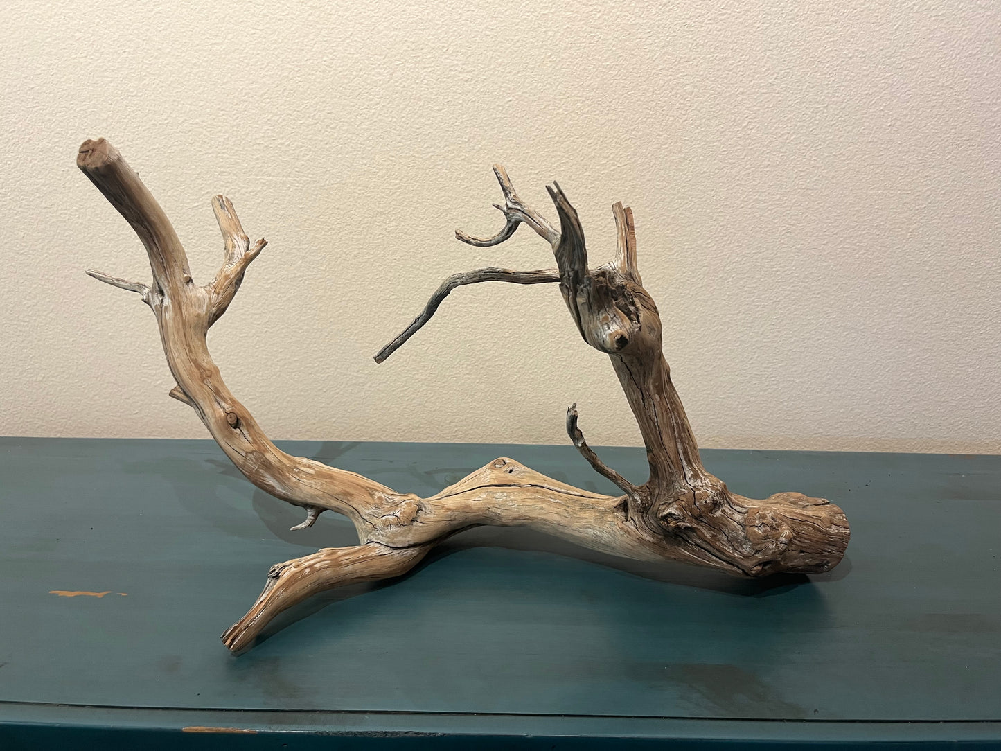 24" Driftwood Manzanita Aquascape Branch