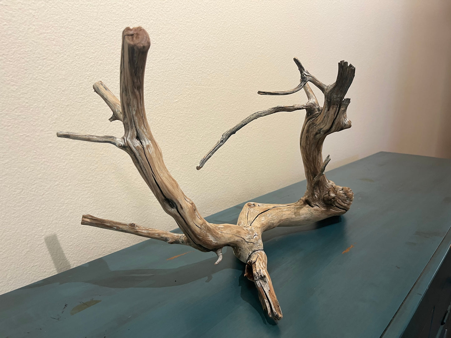 24" Driftwood Manzanita Aquascape Branch