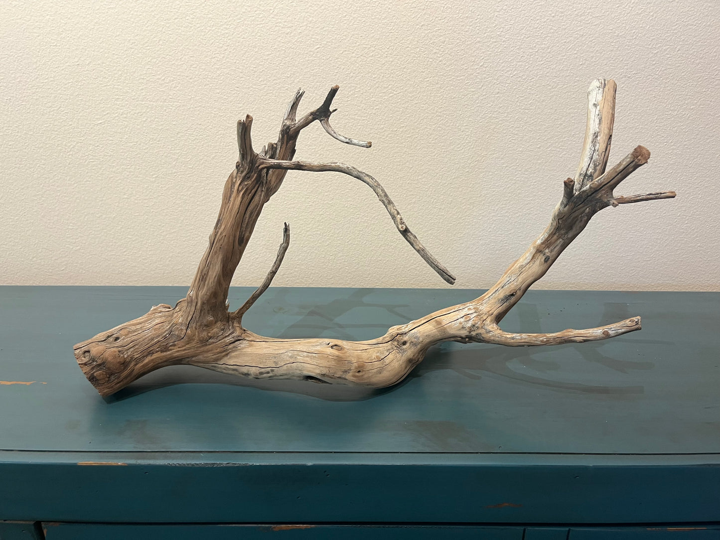 24" Driftwood Manzanita Aquascape Branch