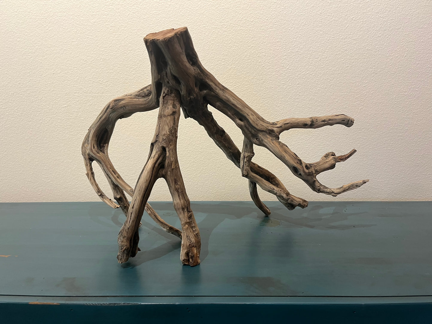 22" Manzanita Driftwood Centerpiece, Aquascape driftwood