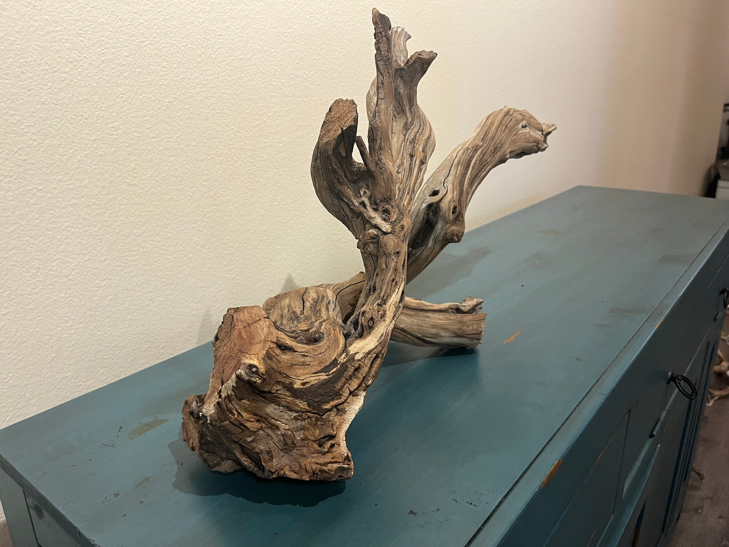 27" Manzanita XL Driftwood Branch