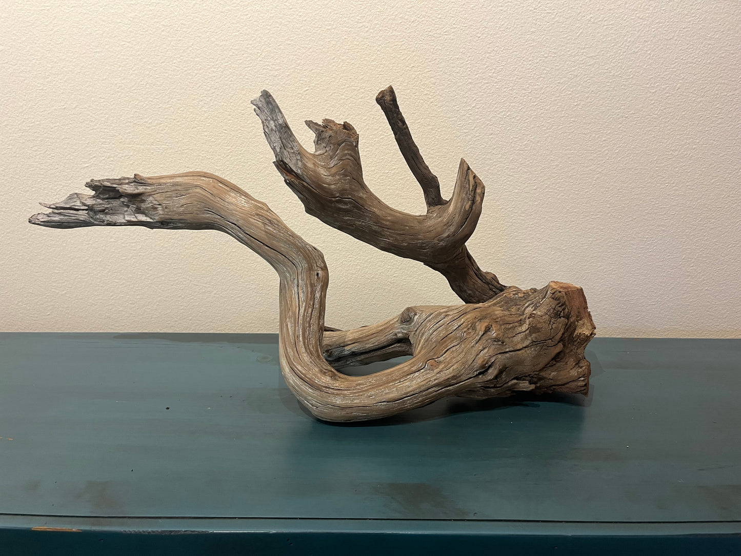 27" Manzanita XL Driftwood Branch