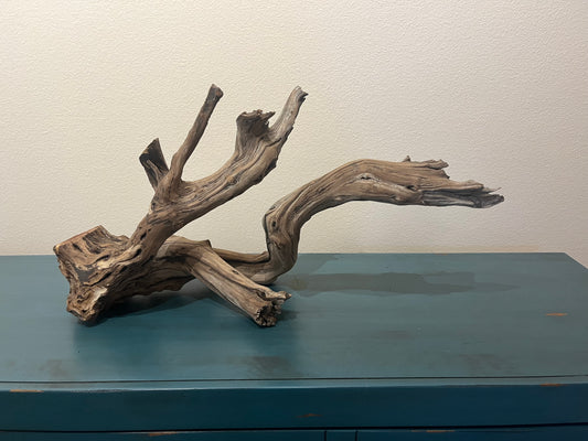 27" Manzanita XL Driftwood Branch