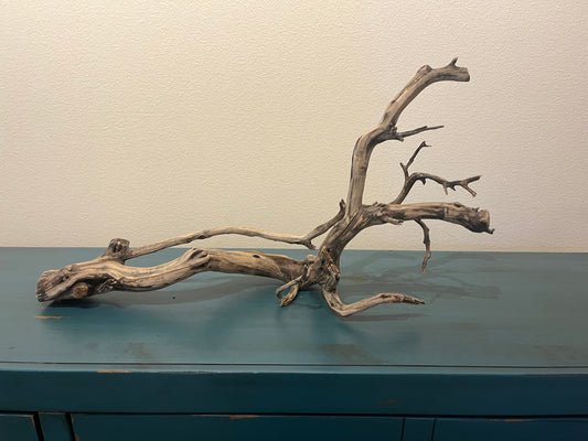 32" Manzanita driftwood aquascape branch