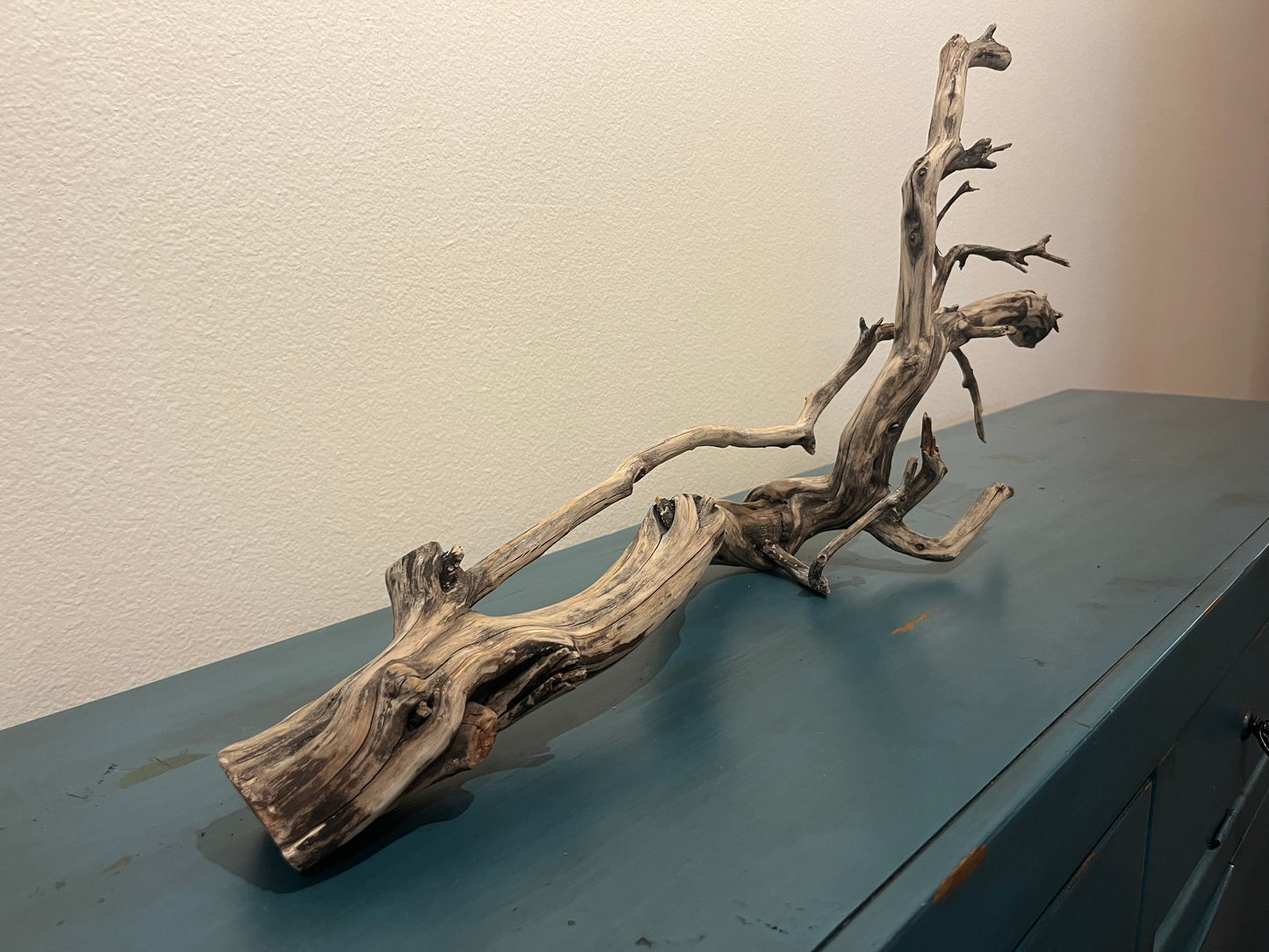 32" Manzanita driftwood aquascape branch