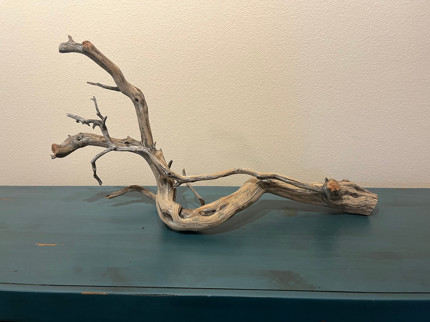 32" Manzanita driftwood aquascape branch