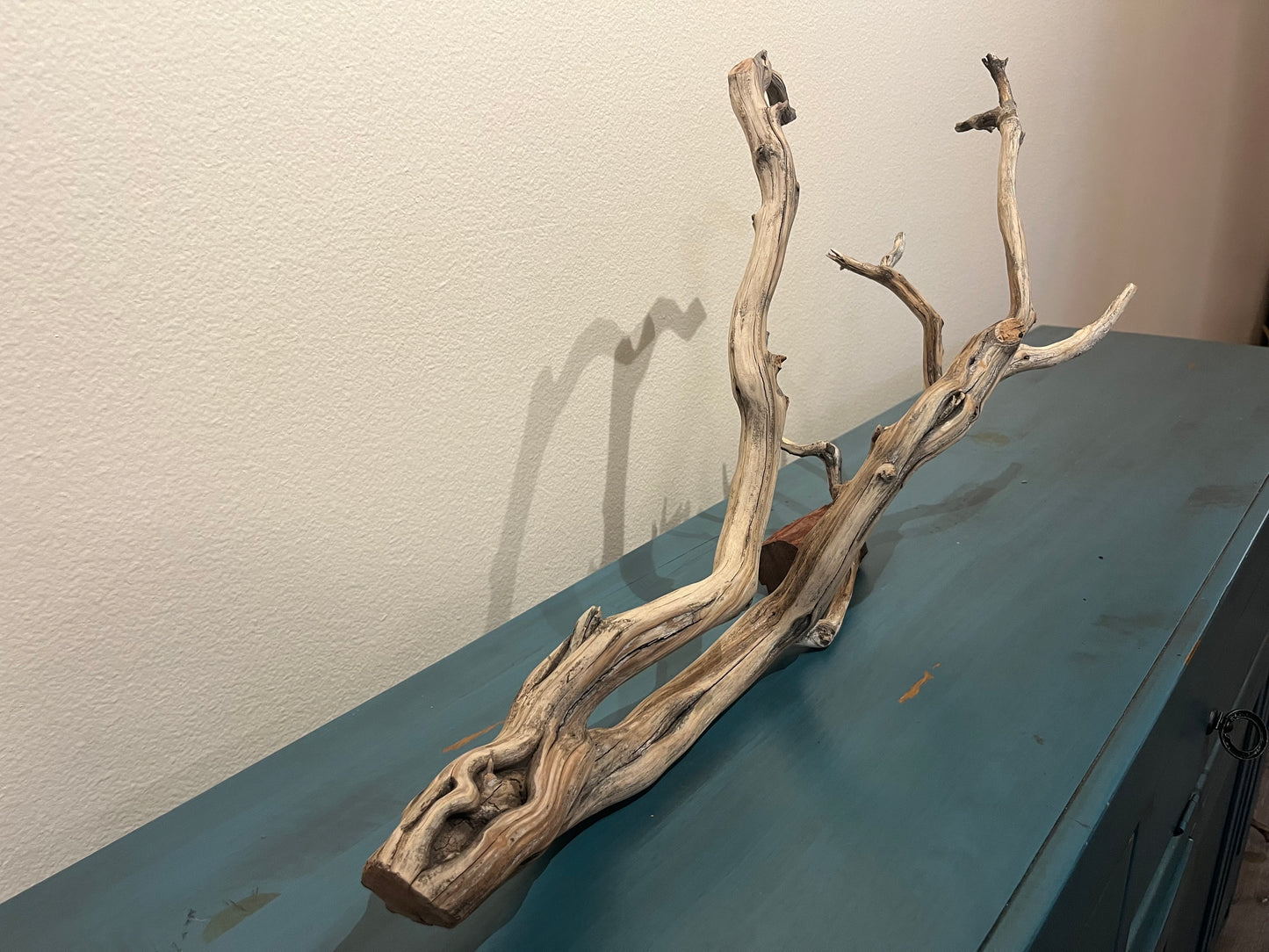 32" Manzanita driftwood aquascape branch