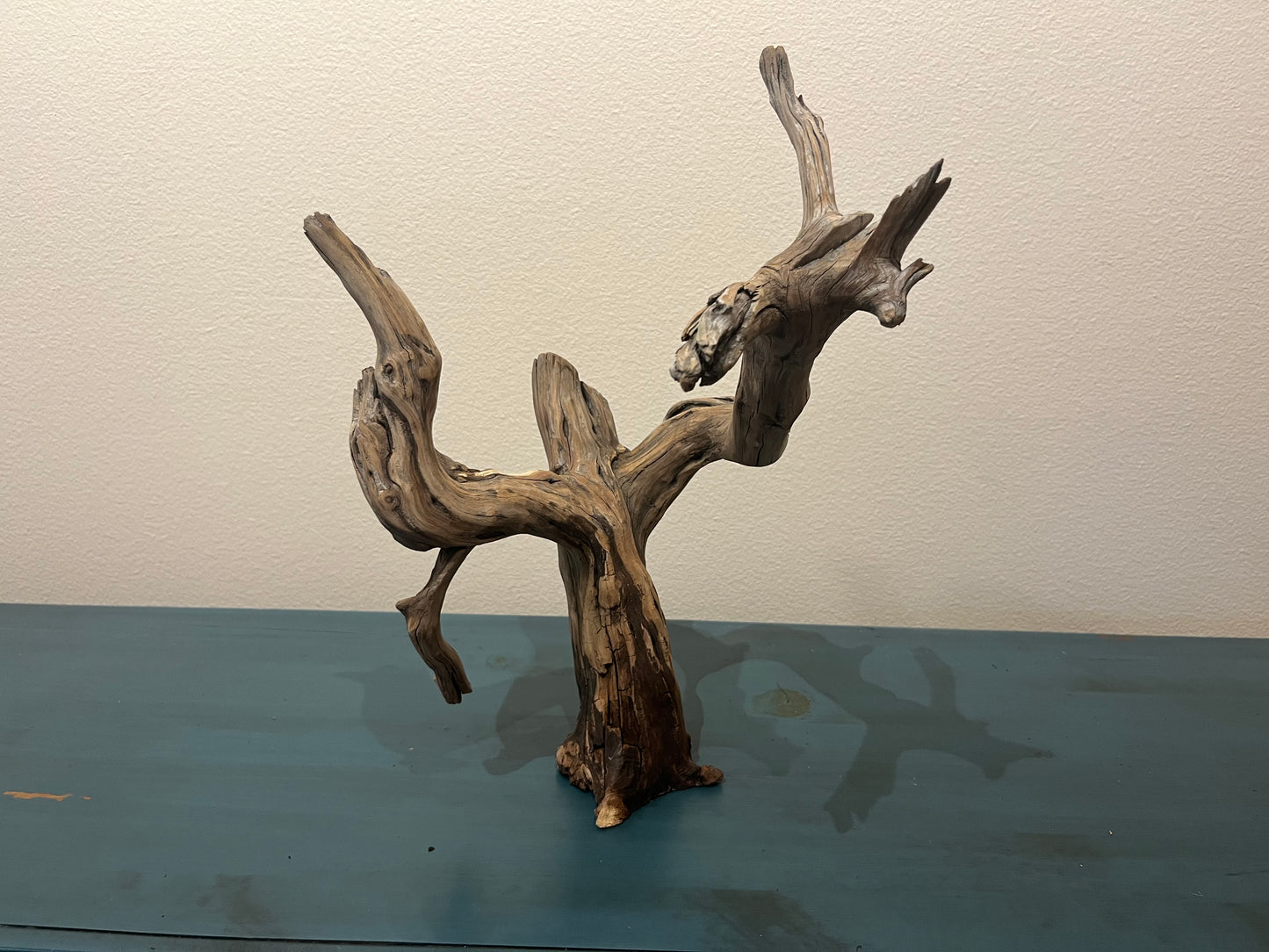 15" Free standing Manzanita Driftwood Branch