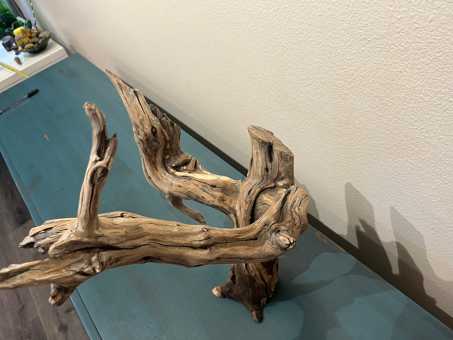 15" Free standing Manzanita Driftwood Branch