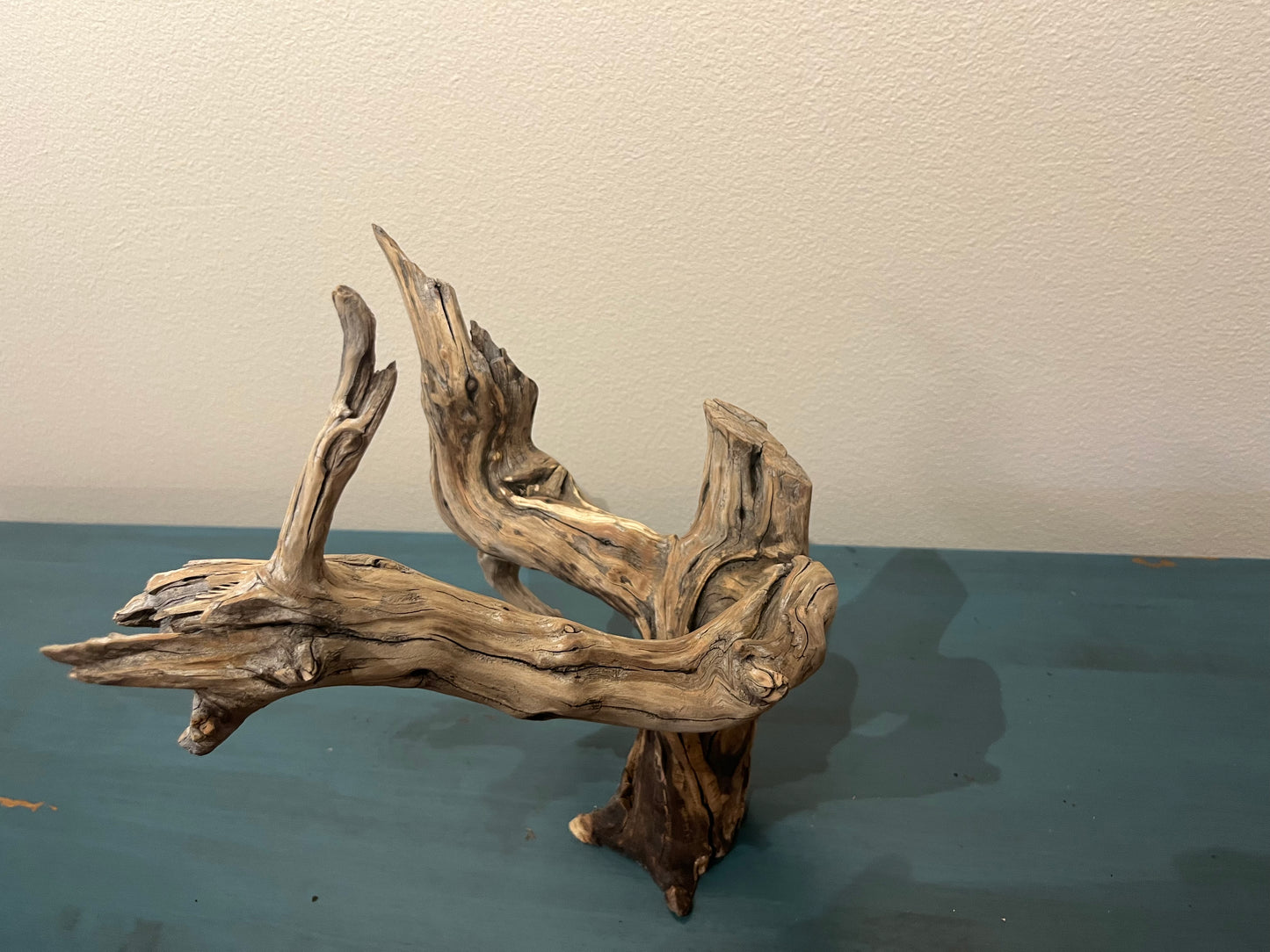 15" Free standing Manzanita Driftwood Branch