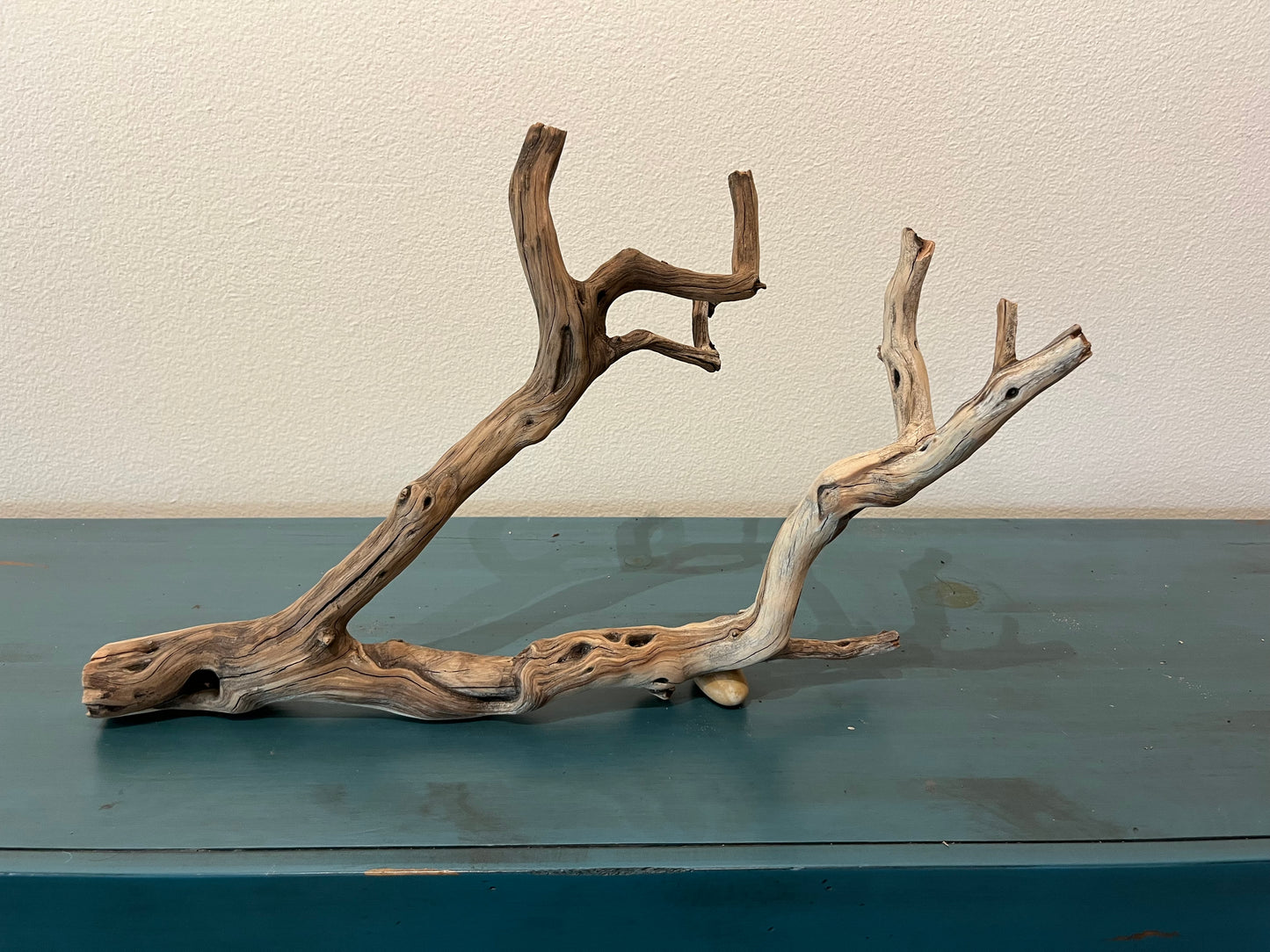 Manzanita 20" Driftwood Forked Branch, 20x12x13, #2045