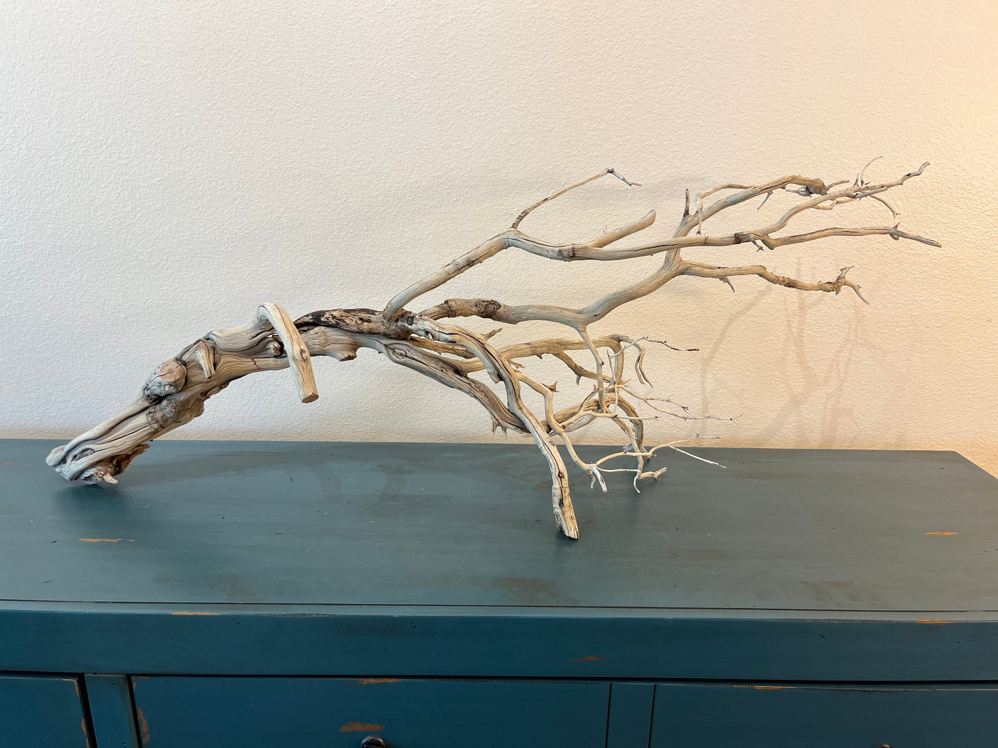 XL Manzanita Branch Driftwood, XL Centerpiece Aquascaping #3051 40"