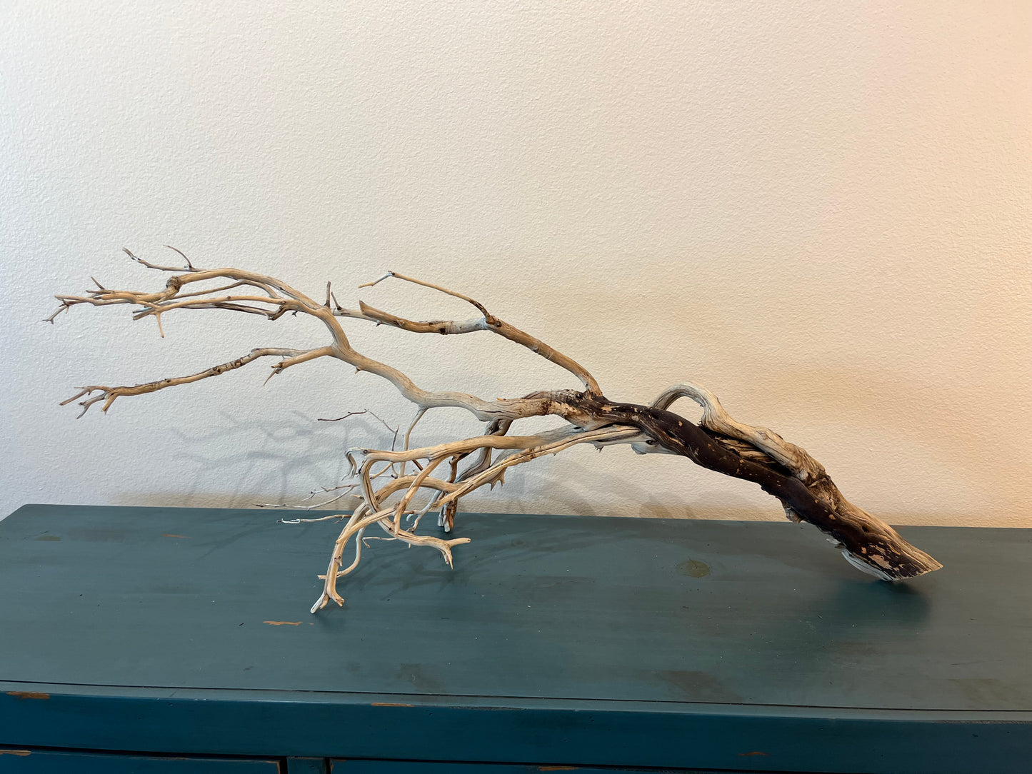 XL Manzanita Branch Driftwood, XL Centerpiece Aquascaping #3051 40"