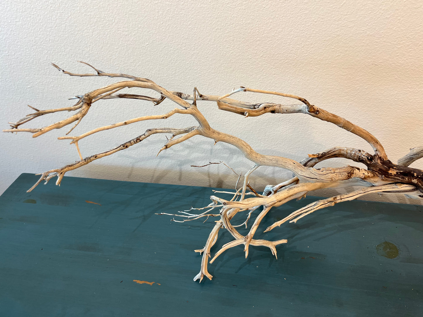 XL Manzanita Branch Driftwood, XL Centerpiece Aquascaping #3051 40"