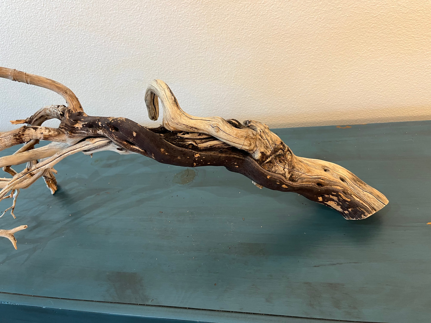 XL Manzanita Branch Driftwood, XL Centerpiece Aquascaping #3051 40"