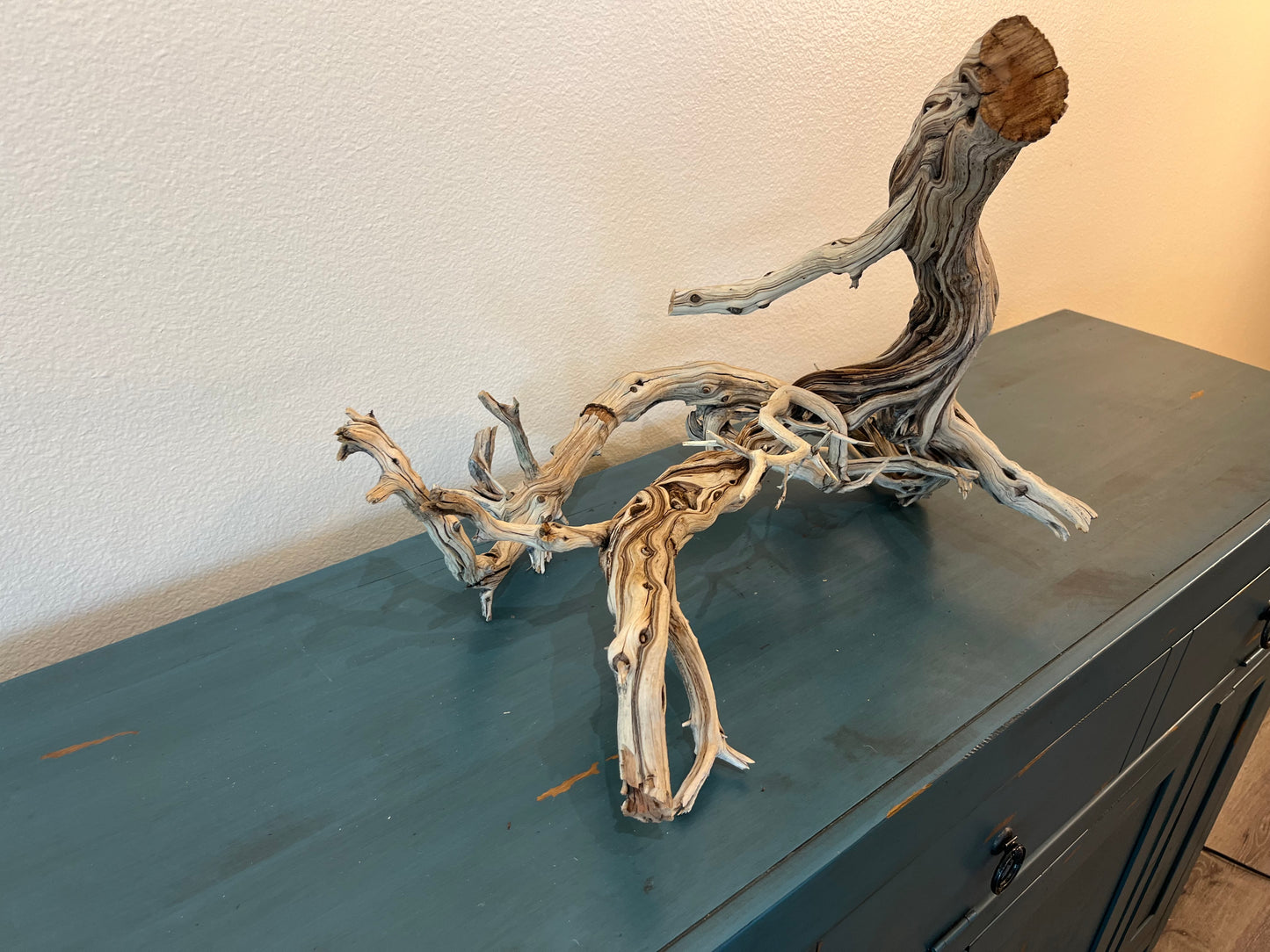 22" Manzanita XL Showpiece Driftwood, Underwater Forest Branch