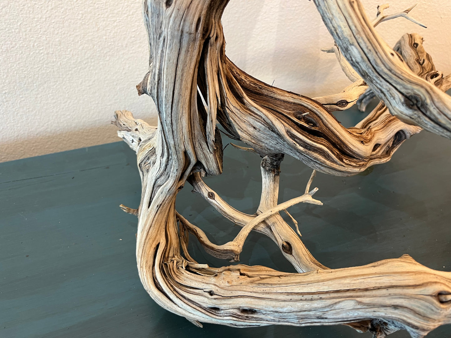 22" Manzanita XL Showpiece Driftwood, Underwater Forest Branch