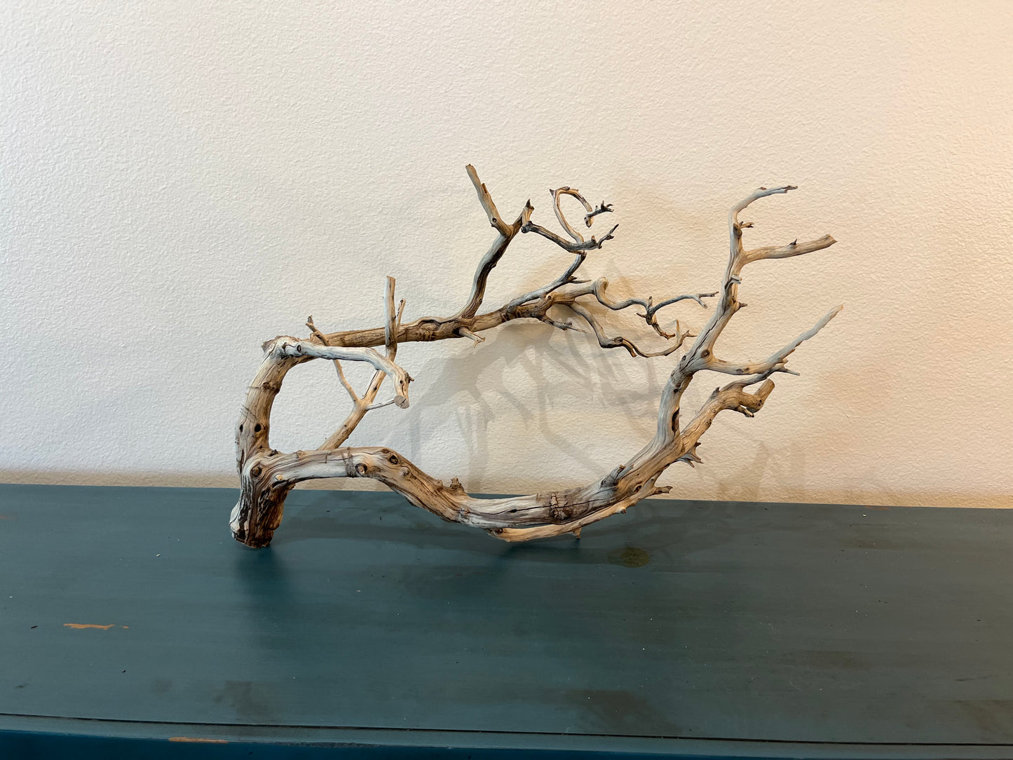 Manzanita 25" Natural Driftwood Branch, XL Driftwood