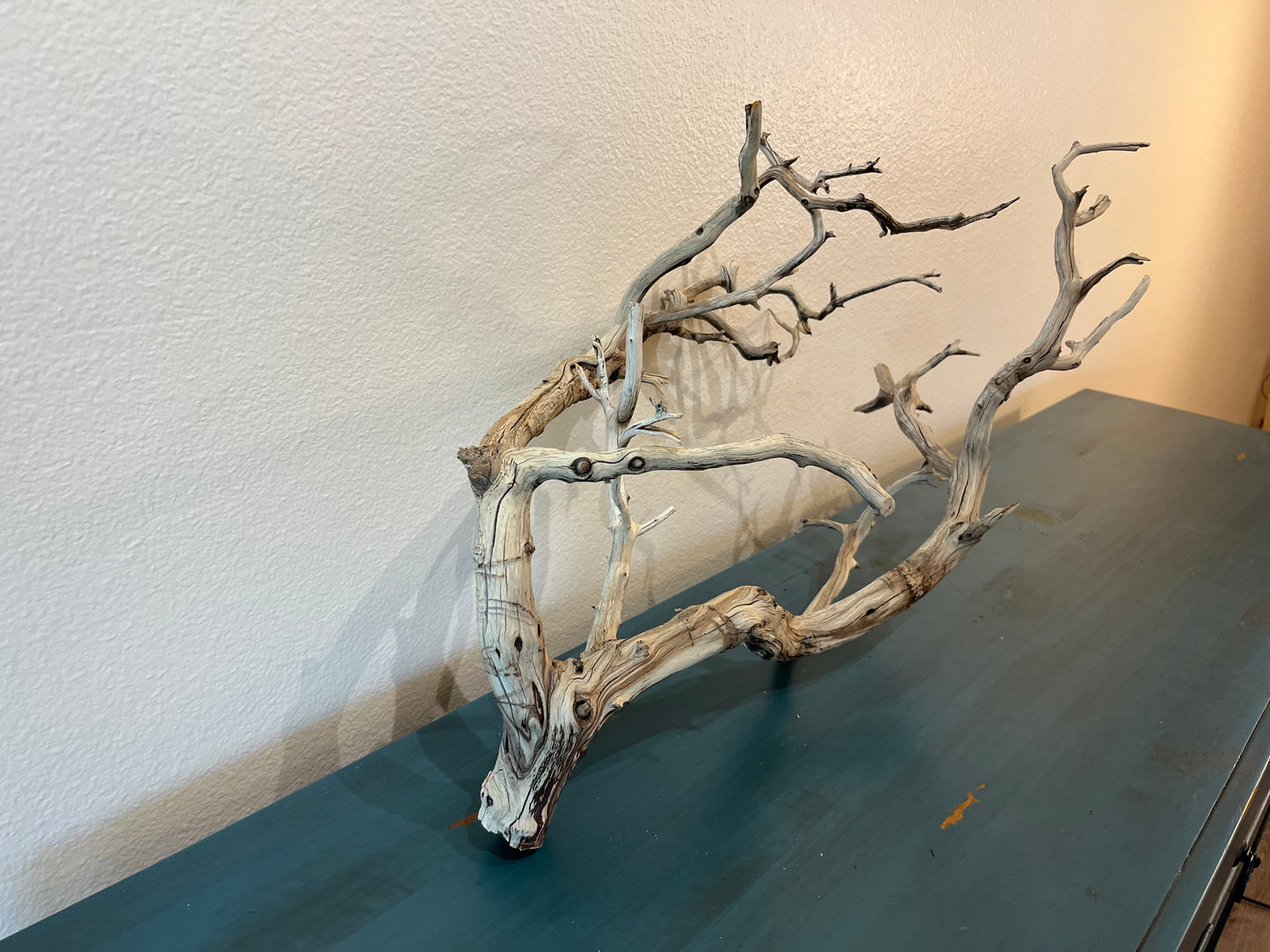 Manzanita 25" Natural Driftwood Branch, XL Driftwood